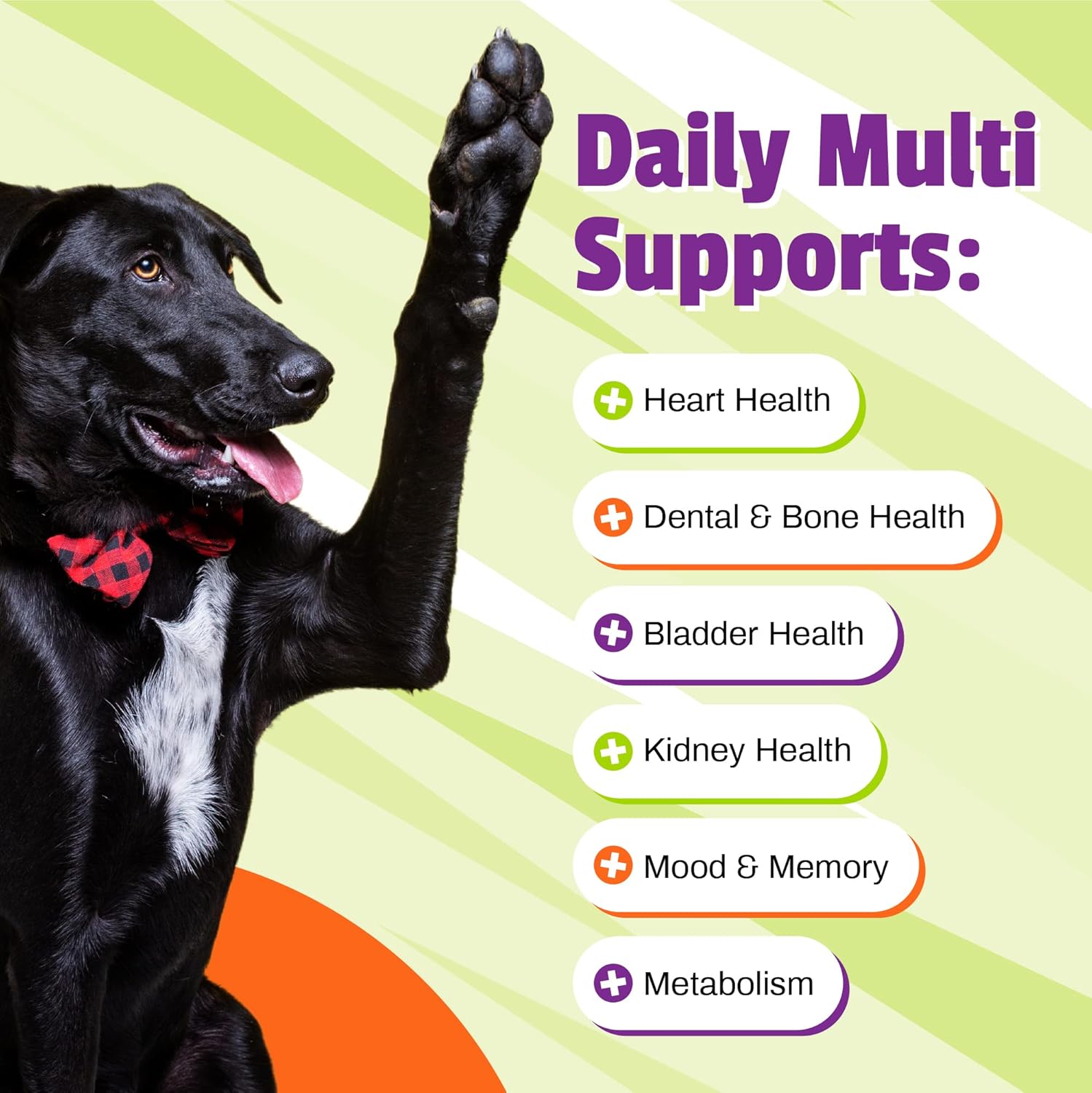 Veggie Flavored Dog Multivitamin Chews with Amino Acids and Antioxidants for Energy and Wellness - 30 Count