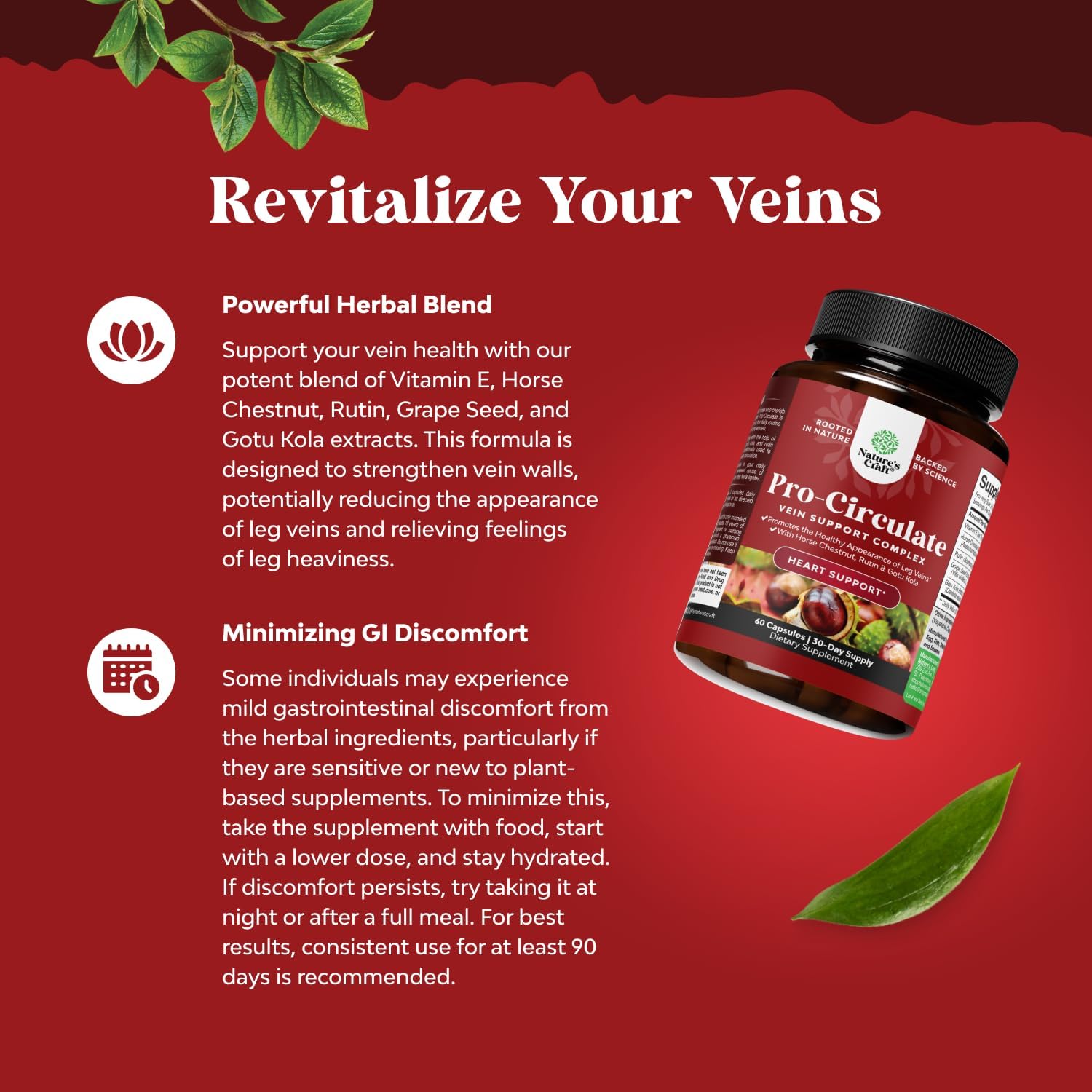 Vein Support Supplements for Improved Circulation - Spider & Varicose Veins Relief with Horse Chestnut Extract - Vegan Non-GMO Capsules (2 Month Supply)