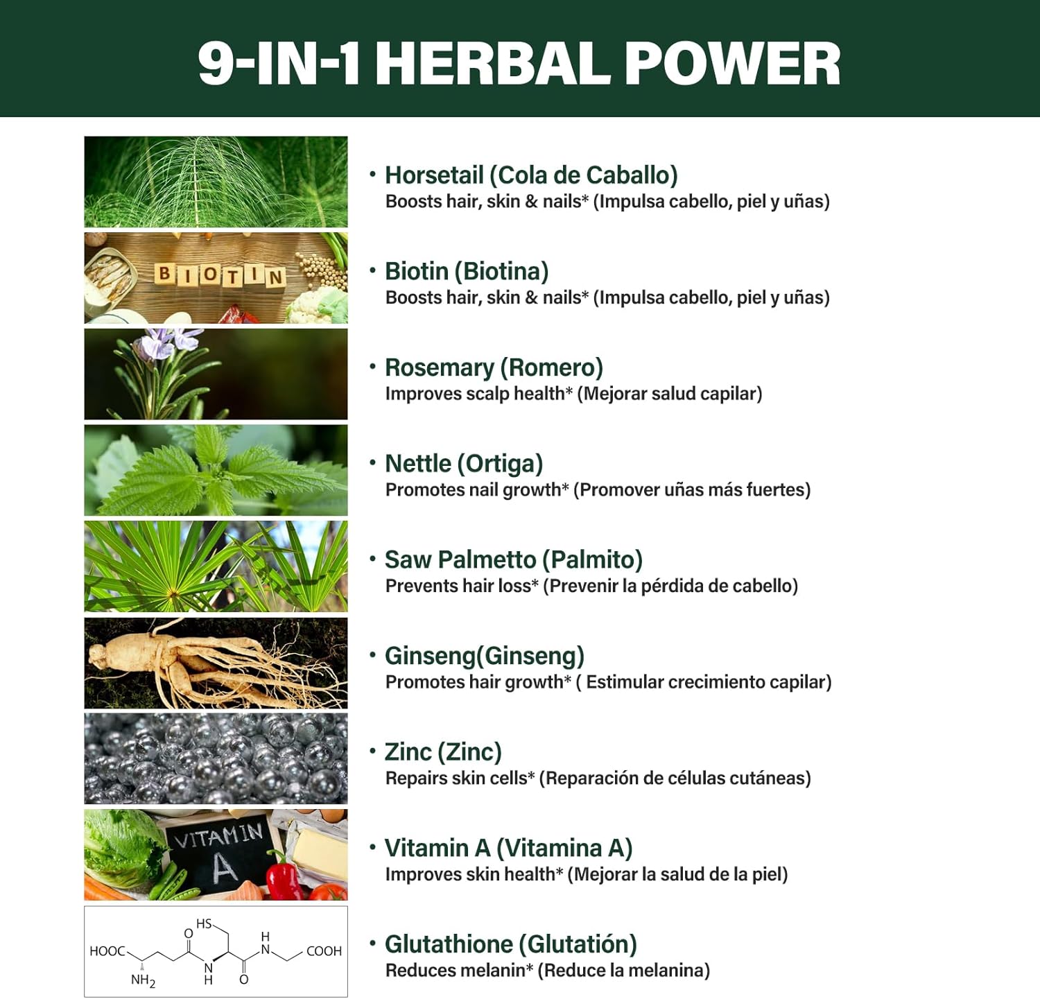 Verdeherb Herbal Liquid Drops - Hair, Skin, and Nail Growth Support with Horsetail, Biotin, and Rosemary Extract - 2oz