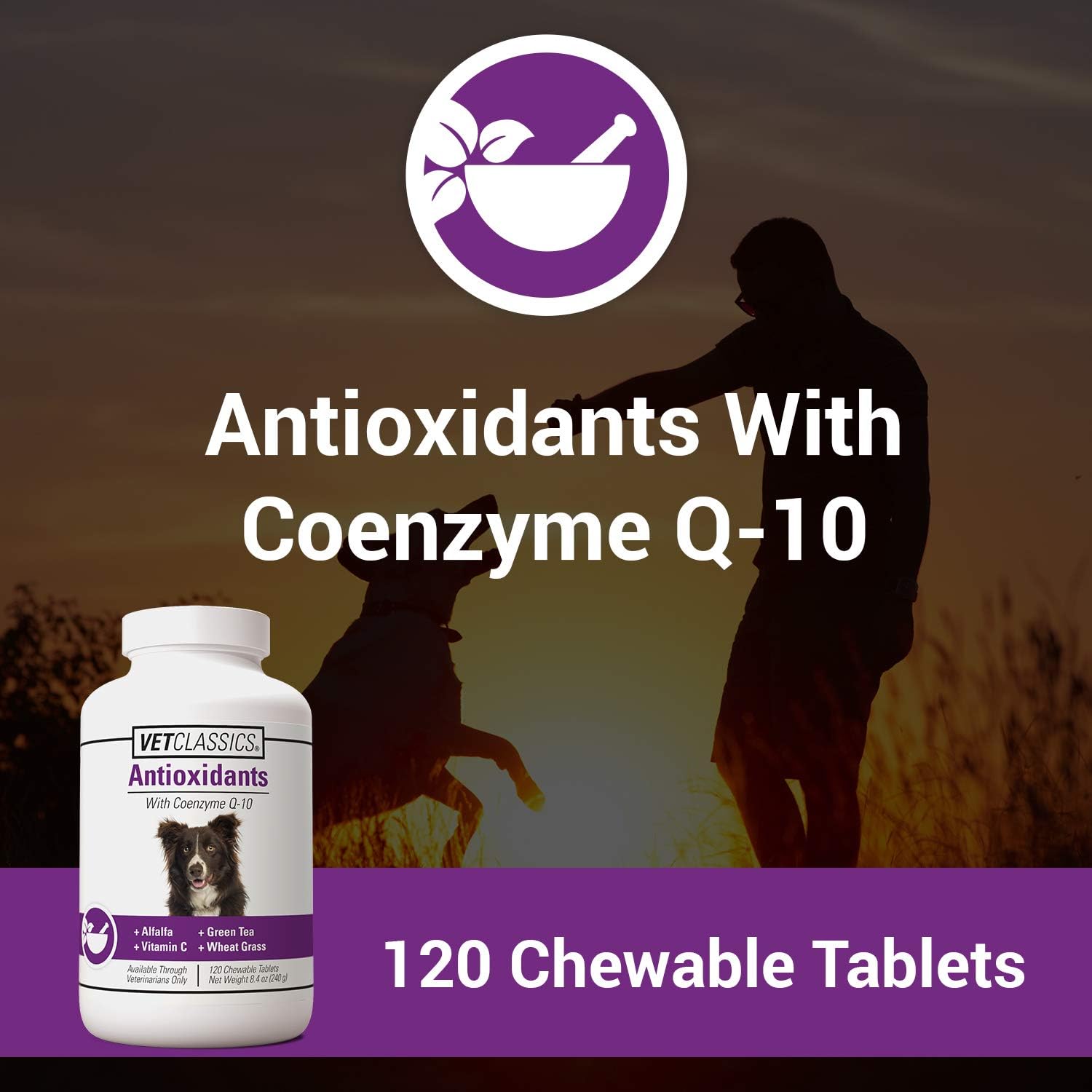 Vet Classics Antioxidants for Dogs with Coenzyme Q-10, Alfalfa, Green Tea, Vitamin C, & Wheat Grass - 120 Chewable Tablets