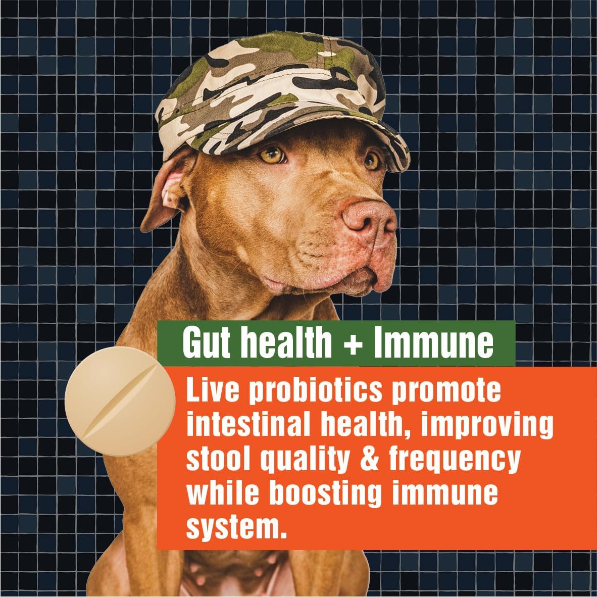 Veteran-Owned Canine Probiotics for Digestive Health & Immune Support - 60 Chewable Tablets for Dogs with Gut Issues & Occasional Diarrhea