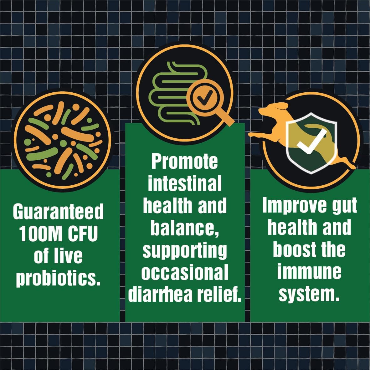 Veteran-Owned Canine Probiotics for Digestive Health & Immune Support - 60 Chewable Tablets for Dogs with Gut Issues & Occasional Diarrhea