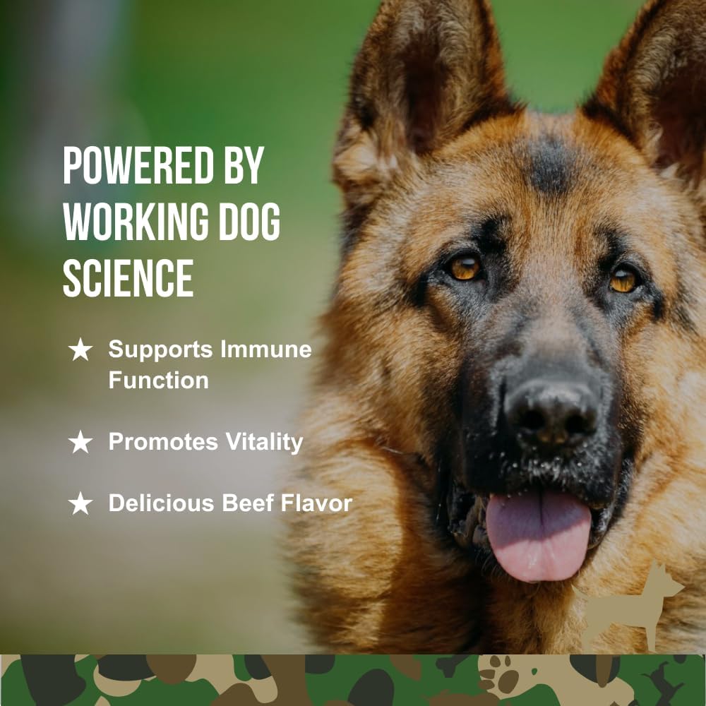 Veteran Owned O.G.B. Operation Good Boy SRE Immunity Supplement for Pets 90 Soft Chews 12.7oz - Natural Ingredients