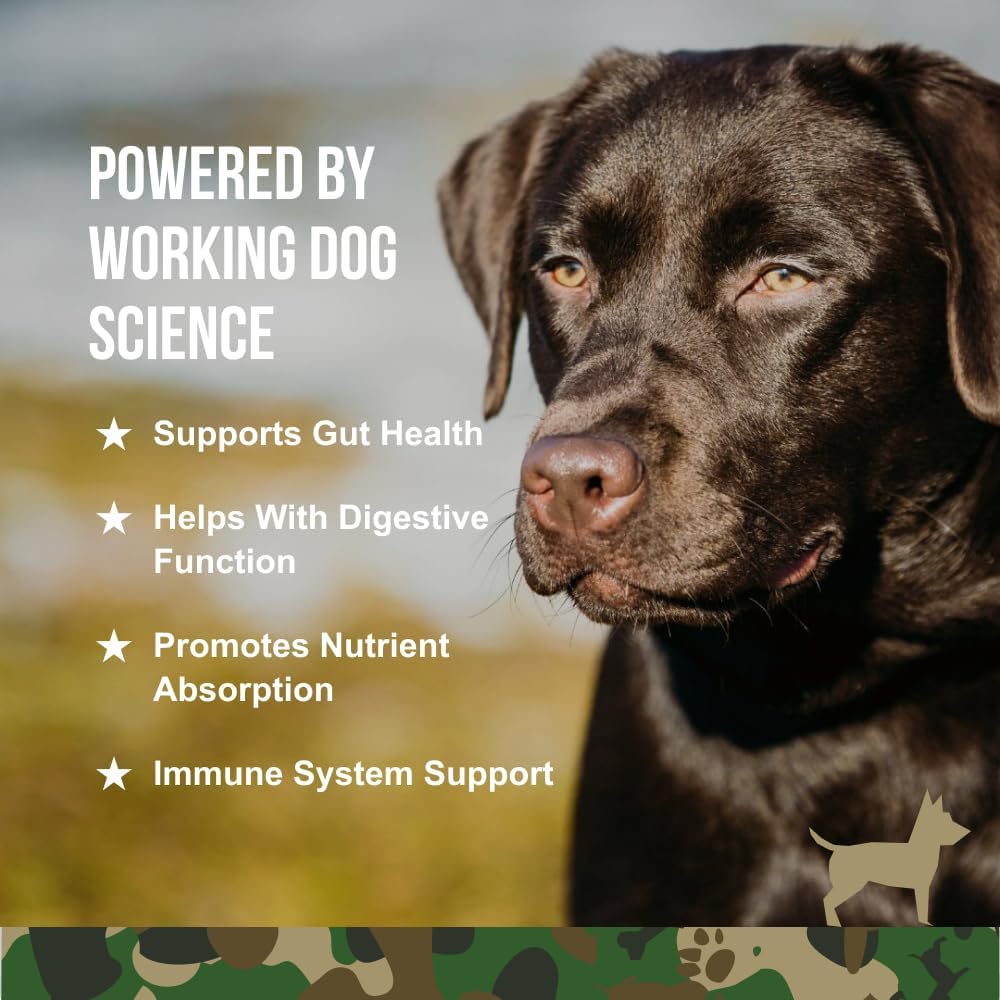 Veteran-Owned O.G.B. SRE Digestion Supplement Soft Chews for Pets - 90 Count Probiotic with Natural Ingredients - 12.7oz