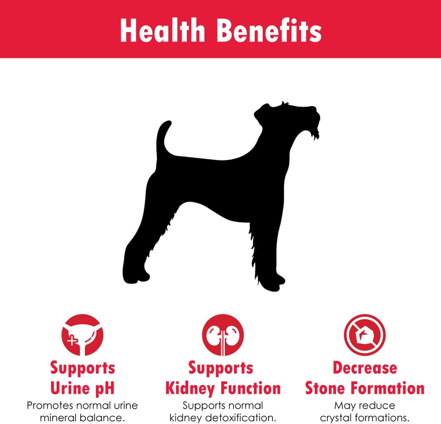 Veterinarian Approved Pet Renal Supplement with Potassium Gluconate, Cranberry, and EPA Gel for Dogs and Cats - Supports Potassium Balance - 6 Pack