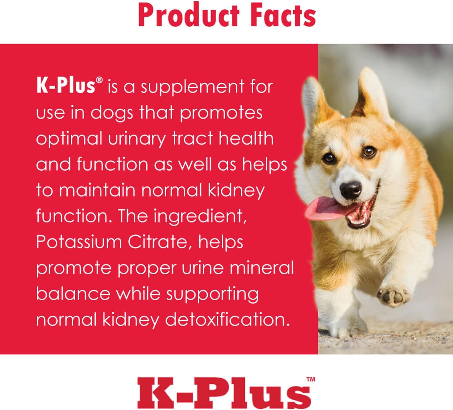Veterinarian Approved Pet Renal Supplement with Potassium Gluconate, Cranberry, and EPA Gel for Dogs and Cats - Supports Potassium Balance - 6 Pack