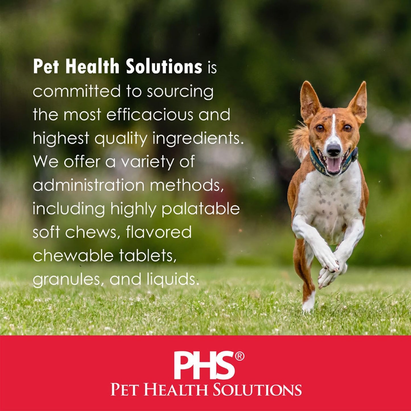 Veterinarian Approved Pet Renal Supplement with Potassium Gluconate, Cranberry, and EPA Gel for Dogs and Cats - Supports Potassium Balance - 6 Pack