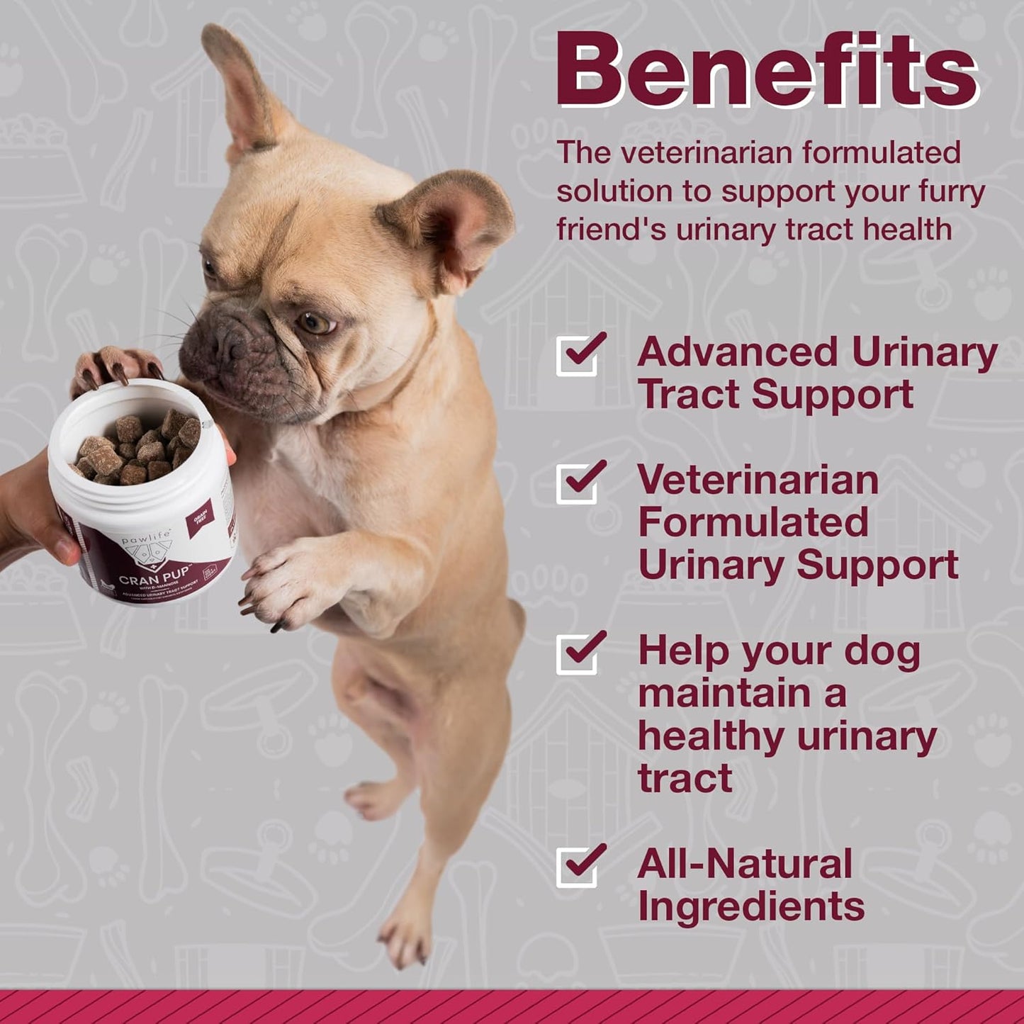 Veterinarian Formulated Cranberry Supplements for Dogs - Urinary Tract & Bladder Support - 120 Soft Chews - D Mannose & Antioxidants - 4-Month Supply