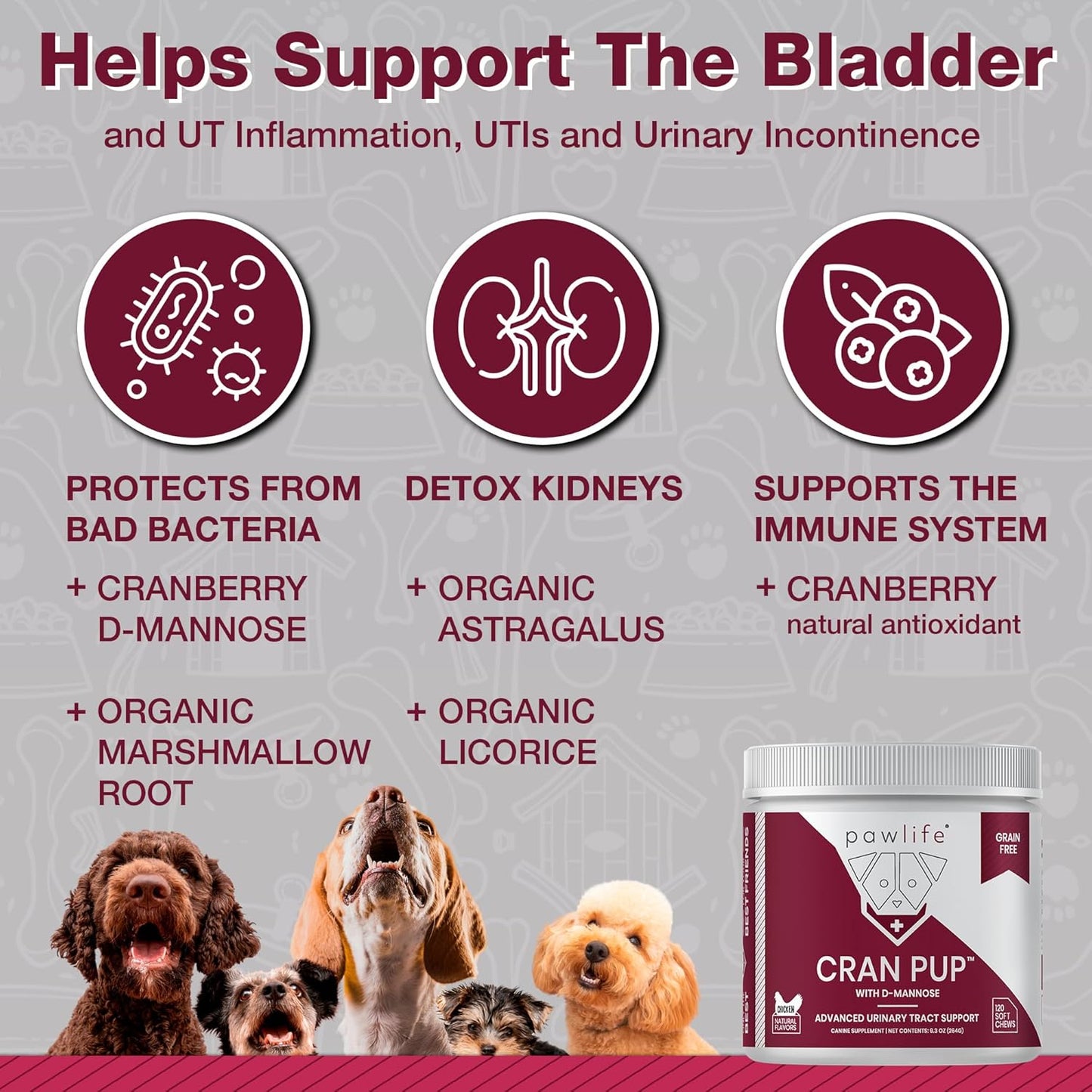 Veterinarian Formulated Cranberry Supplements for Dogs - Urinary Tract & Bladder Support - 120 Soft Chews - D Mannose & Antioxidants - 4-Month Supply