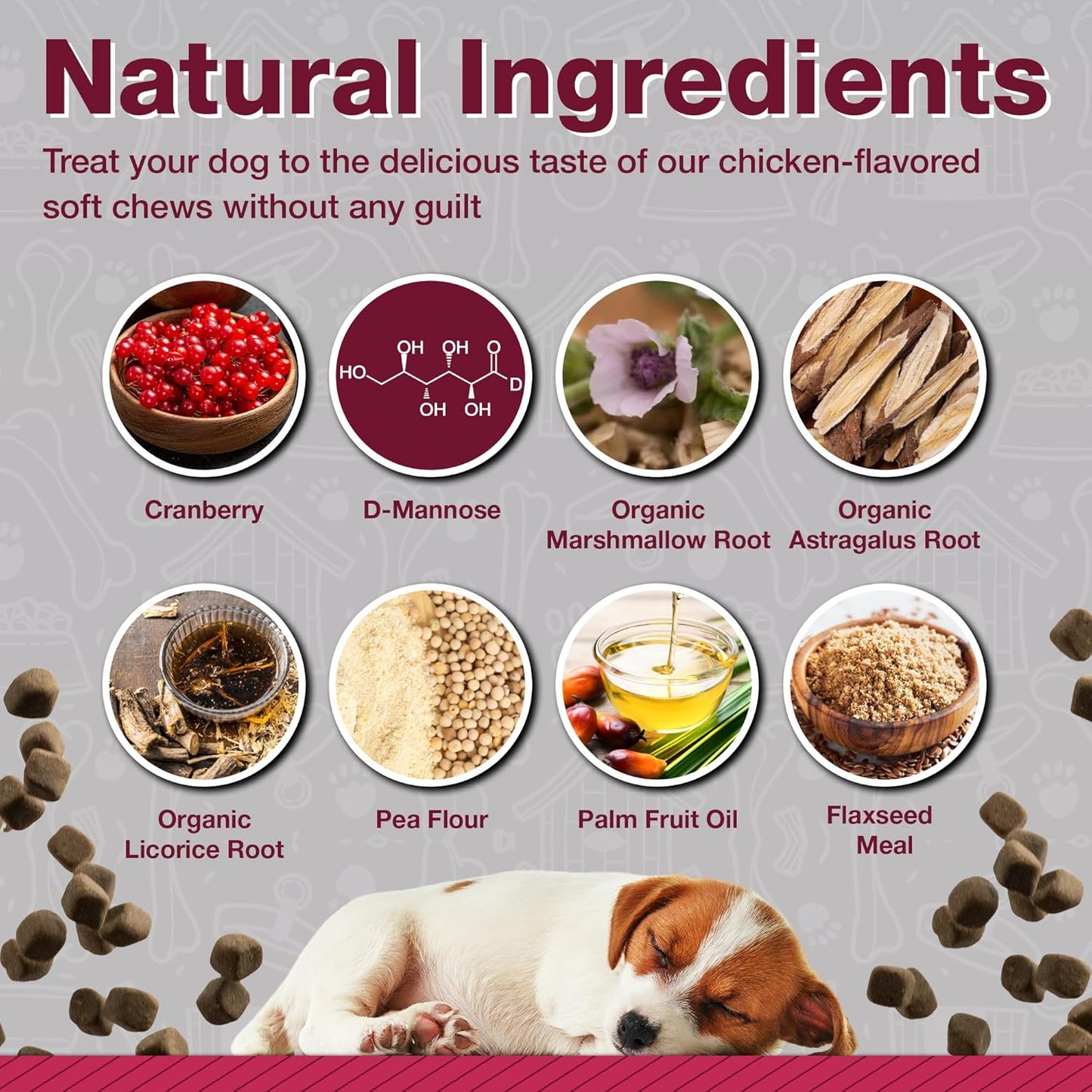 Veterinarian Formulated Cranberry Supplements for Dogs - Urinary Tract & Bladder Support - 120 Soft Chews - D Mannose & Antioxidants - 4-Month Supply
