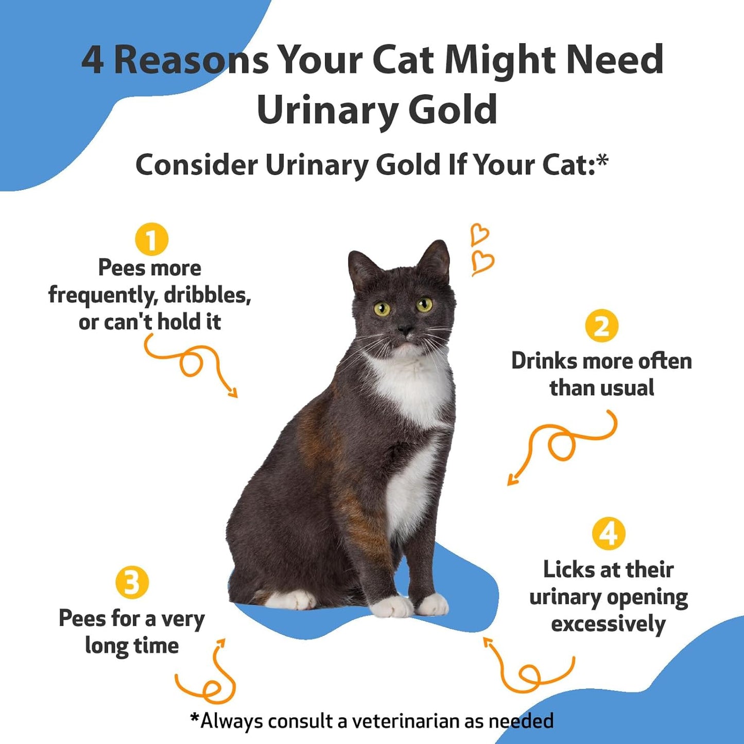 Veterinarian-Formulated Herbal Supplement for Cats - Supports Urinary Tract Health, Normal Frequency, Healthy Immune Response - Pet Wellbeing Urinary Gold 2 oz