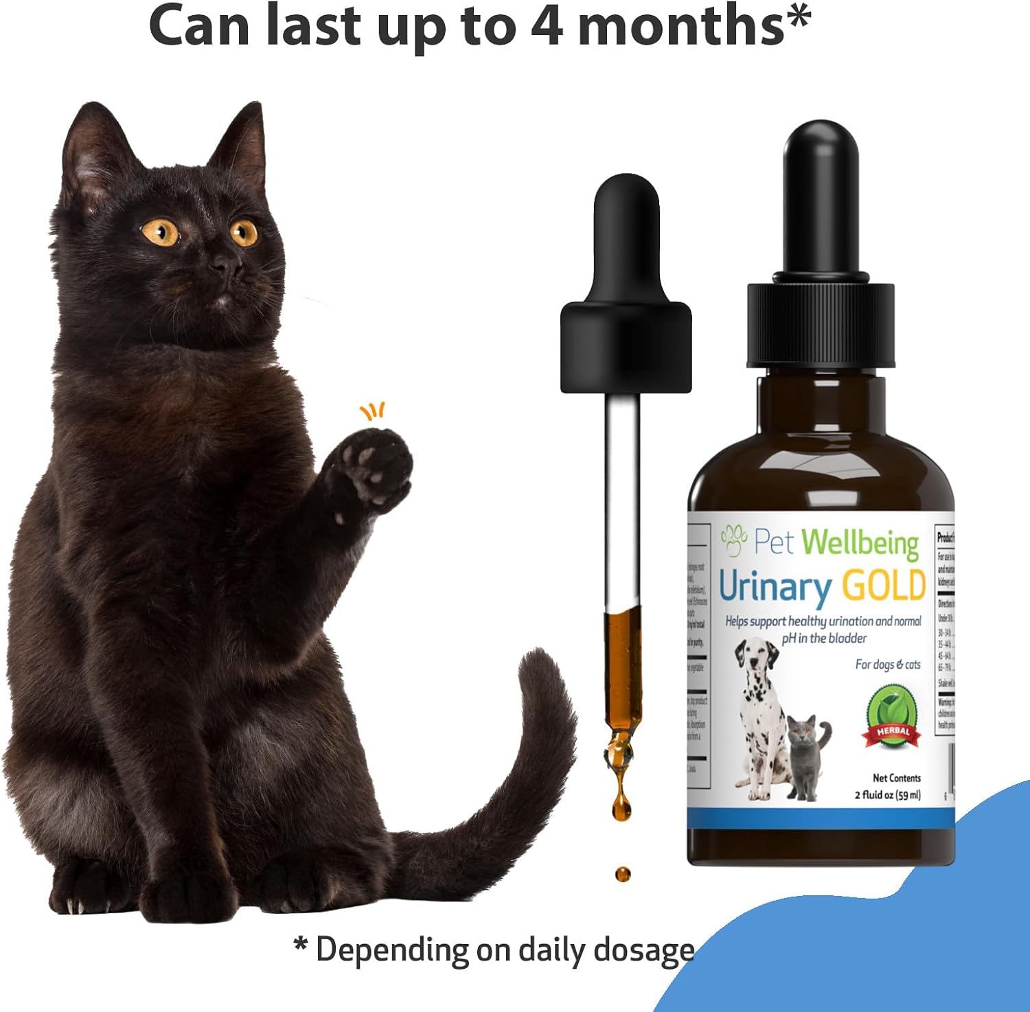 Veterinarian-Formulated Herbal Supplement for Cats - Supports Urinary Tract Health, Normal Frequency, Healthy Immune Response - Pet Wellbeing Urinary Gold 2 oz