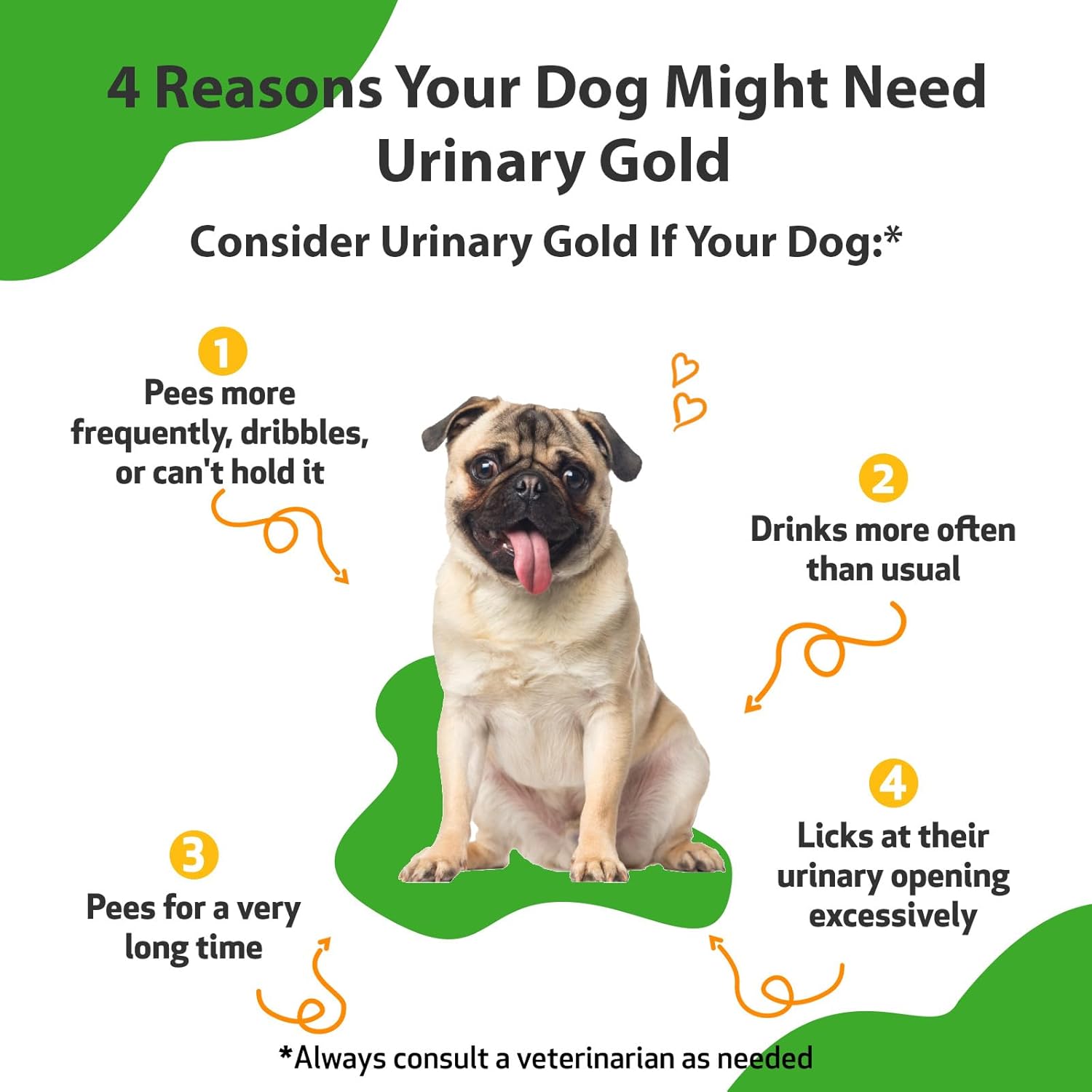 Veterinarian-Formulated Herbal Supplement for Dogs - Supports Urinary Tract Health and Immune Response - 2 oz