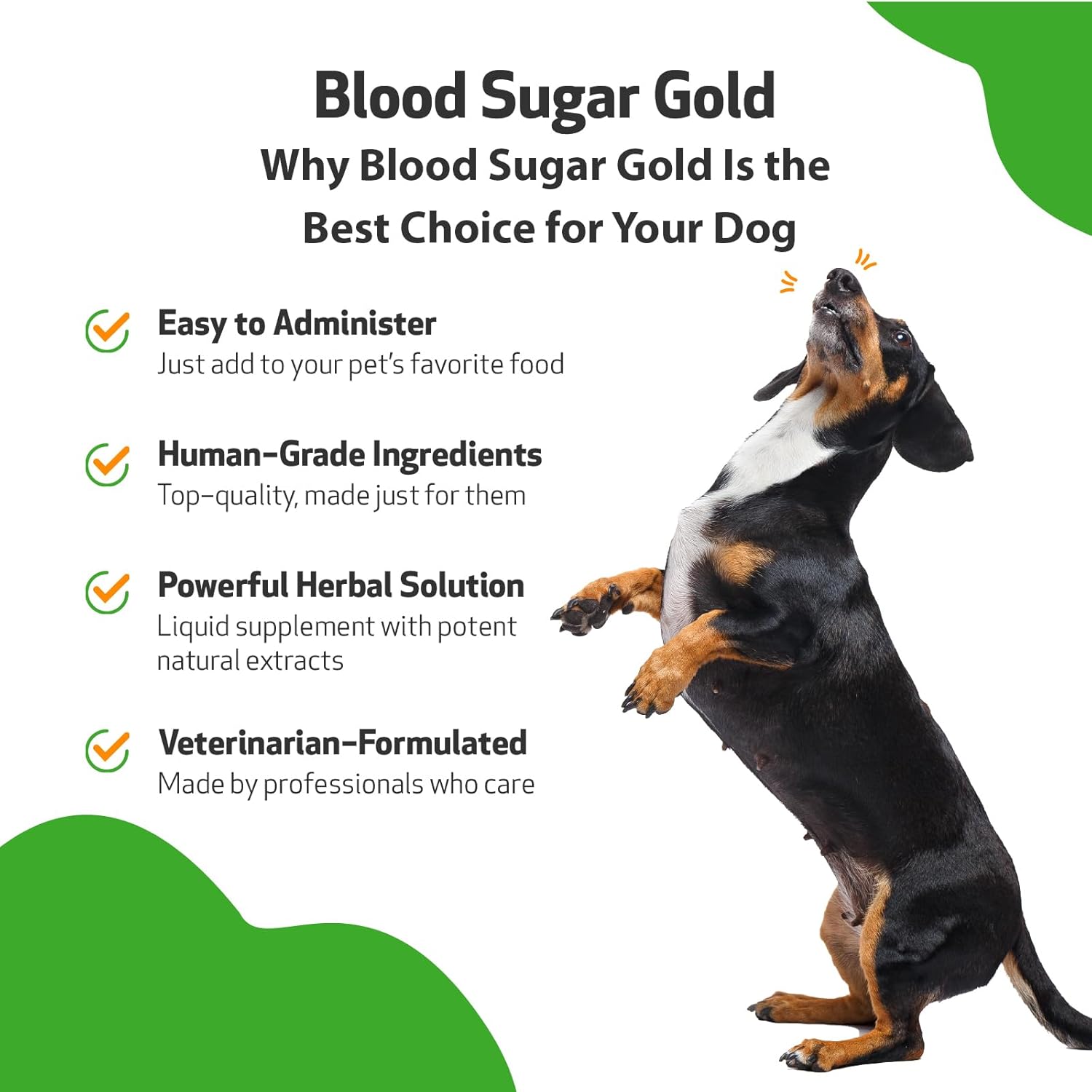 Veterinarian-Formulated Herbal Supplement for Dogs - Supports Healthy Blood Sugar Levels, Pancreas & Liver Function - 2 oz