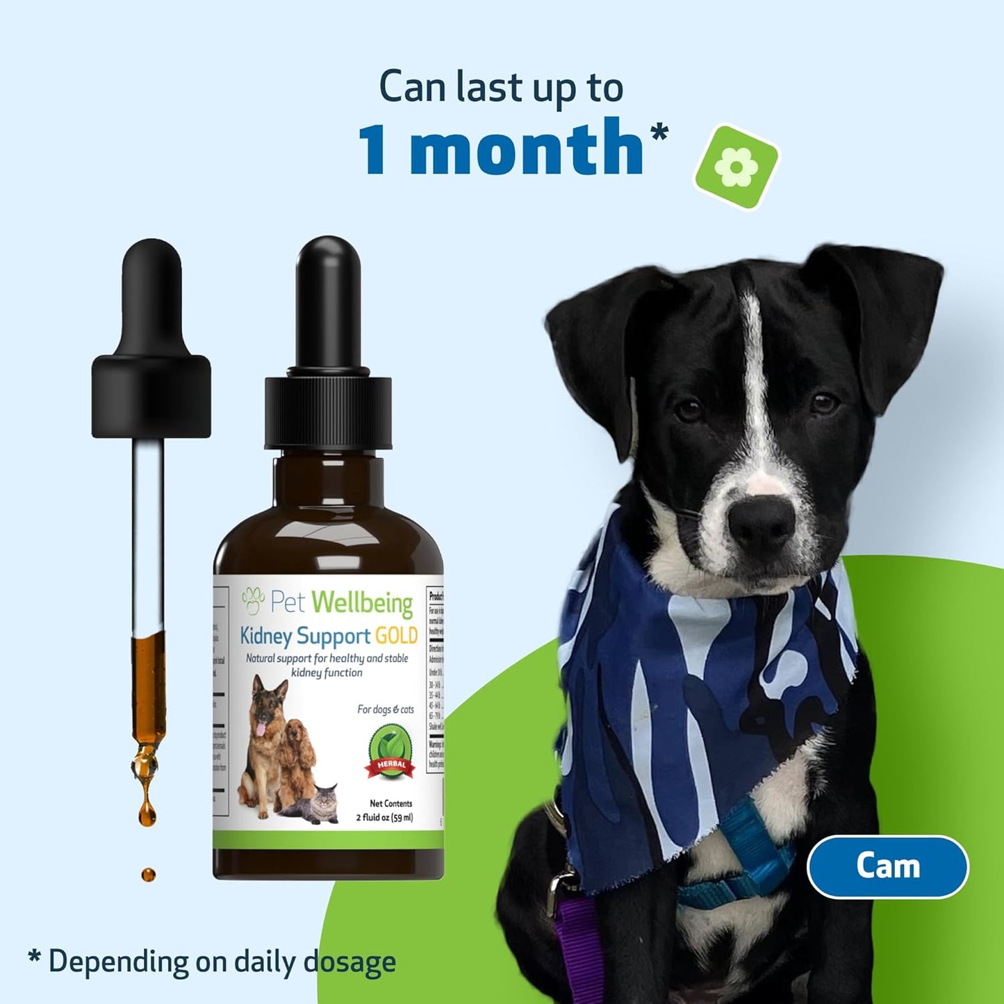 Veterinarian-Formulated Herbal Supplement for Dogs - Supports Healthy Kidney Function, Fluid Balance, Energy Levels, and Appetite - Pet Wellbeing Kidney Support Gold - 2 oz