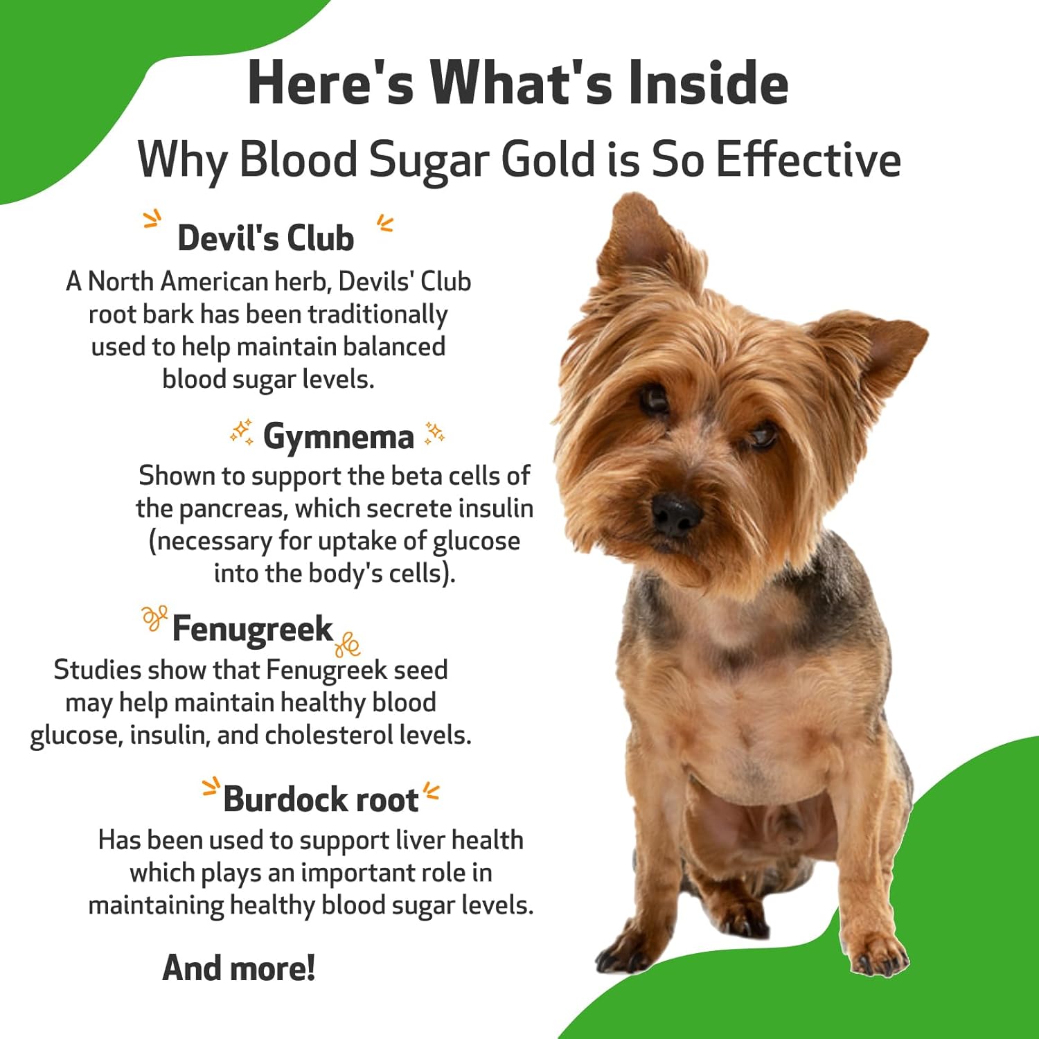 Veterinarian-Formulated Herbal Supplement for Dogs - Supports Healthy Blood Sugar Levels, Pancreas & Liver Function - 2 oz