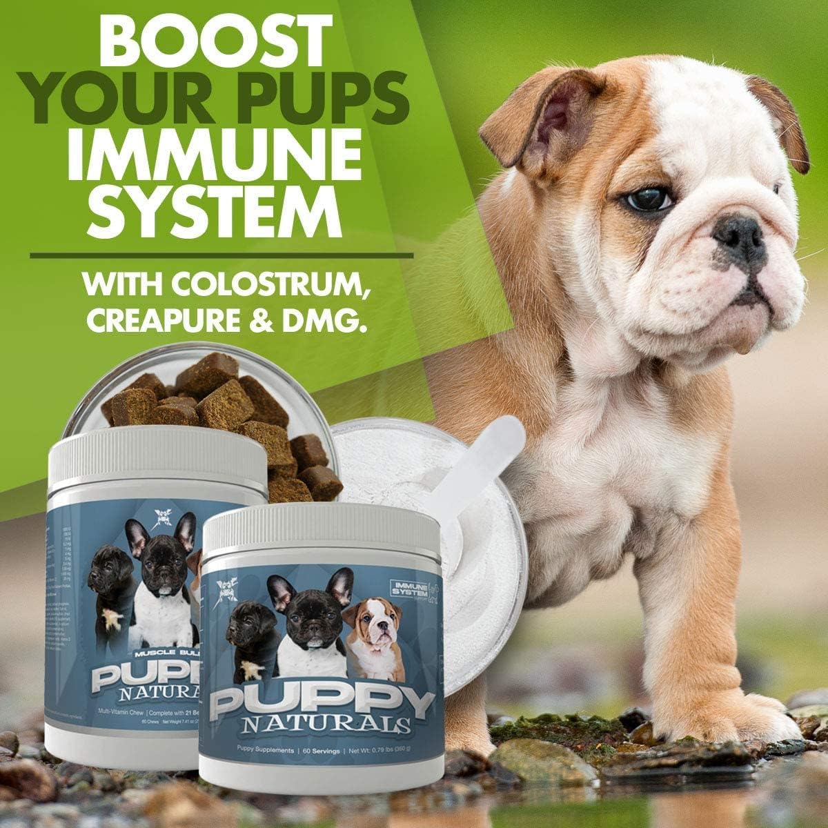 Veterinarian Formulated Muscle Bully Puppy Naturals: Immunity Milk Replacer + MultiVitamin Chew - Nutritional Support for Growing Puppies (60 Servings)