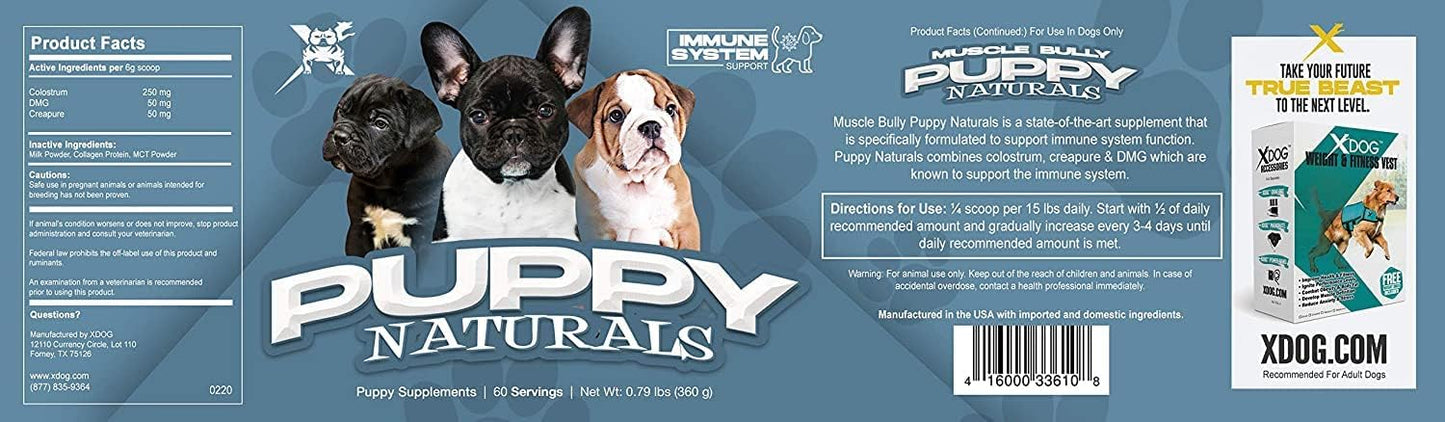 Veterinarian Formulated Muscle Bully Puppy Naturals: Immunity Milk Replacer + MultiVitamin Chew - Nutritional Support for Growing Puppies (60 Servings)