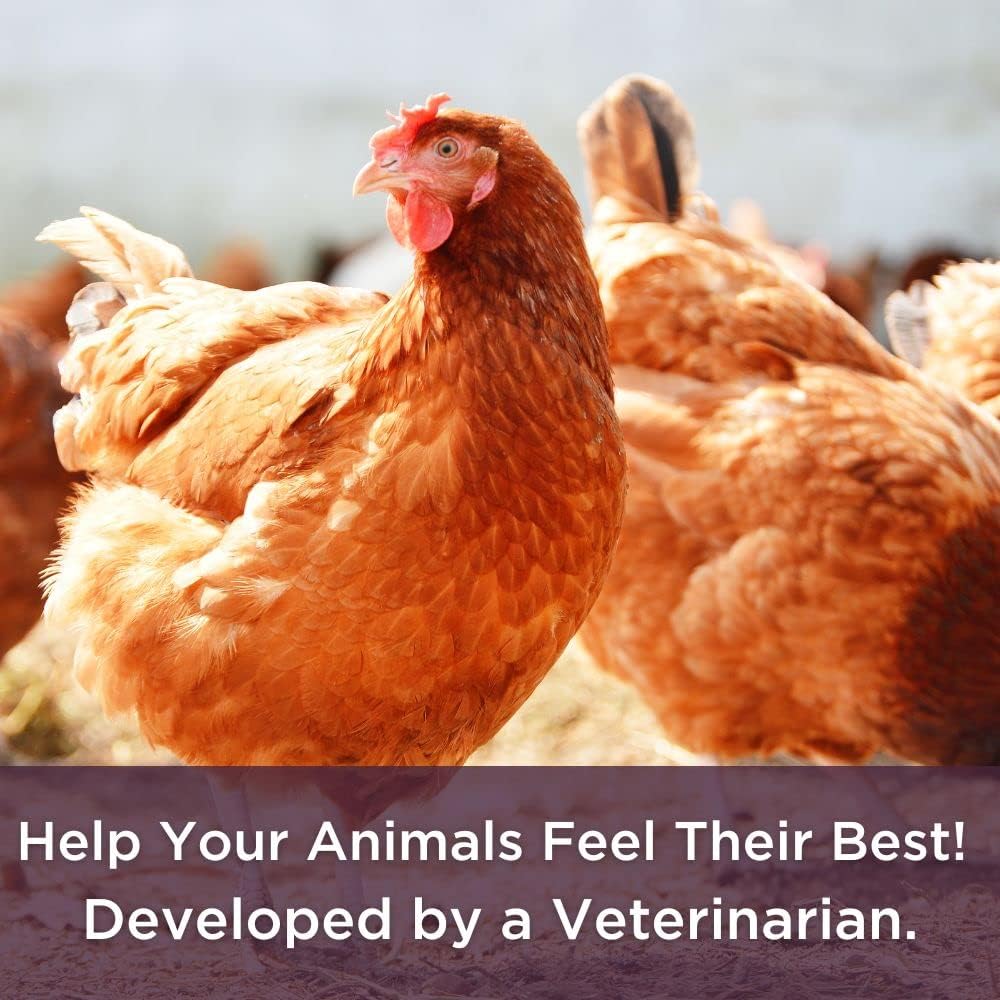 Veterinarian Formulated Probiotic + Electrolyte Supplement for Farm Animals by Bioverse Dr. Connie - Promotes Healthy Gut Function