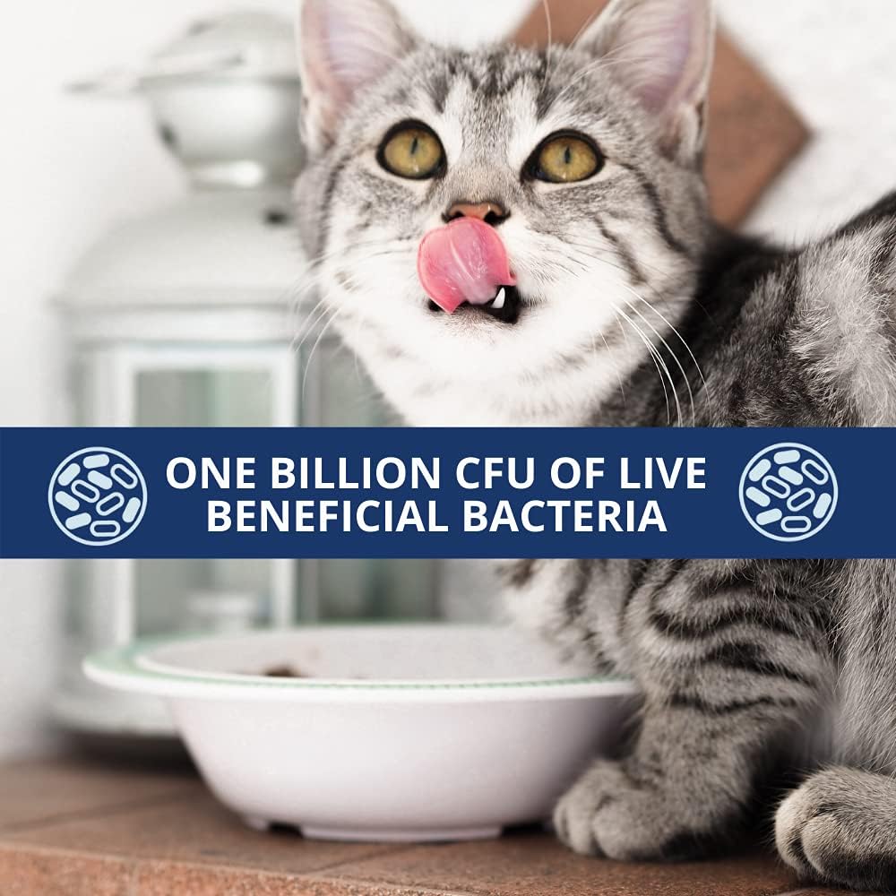 Veterinarian-Formulated Probiotic Powder for Cats | Supports Digestive Health & Immunity | Helps with Occasional Diarrhea | 2.54 Oz Jar