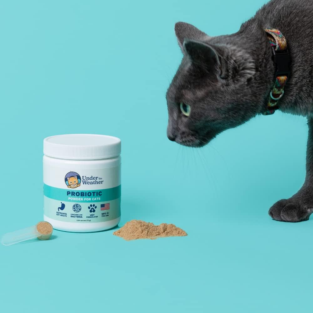 Veterinarian-Formulated Probiotic Powder for Cats | Supports Digestive Health & Immunity | Helps with Occasional Diarrhea | 2.54 Oz Jar