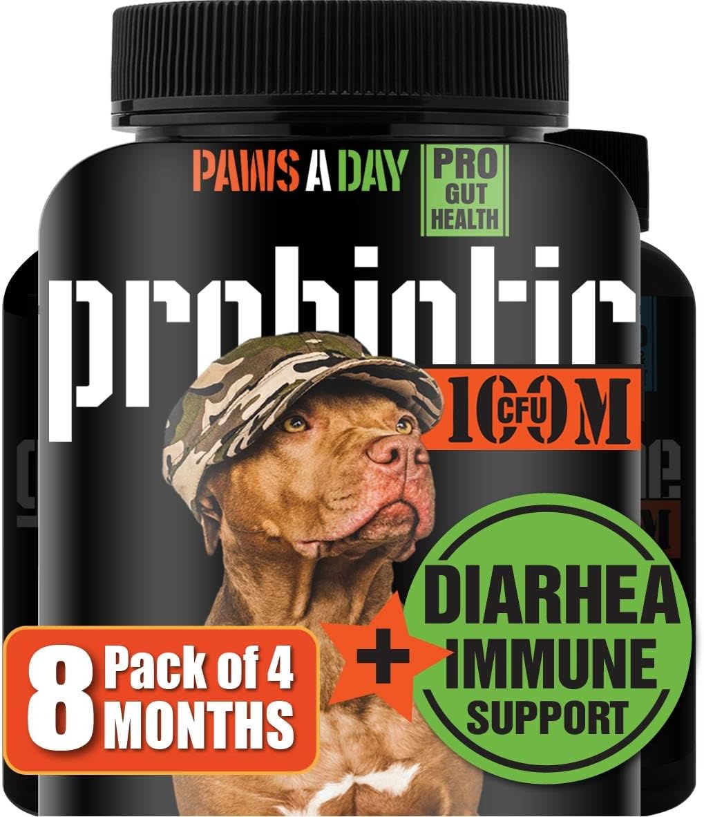 Veterinary Dog Probiotics for Digestive Health & Immune Support - Army Soldier Owned Canine Probiotics for Gut Health, 60 Chewable Tablets (4 Pack)