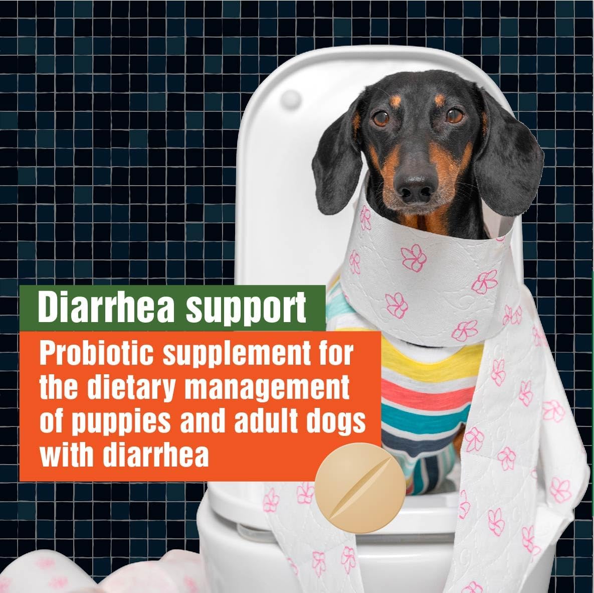Veterinary Dog Probiotics for Digestive Health & Immune Support - Army Soldier Owned Canine Probiotics for Gut Health, 60 Chewable Tablets (4 Pack)