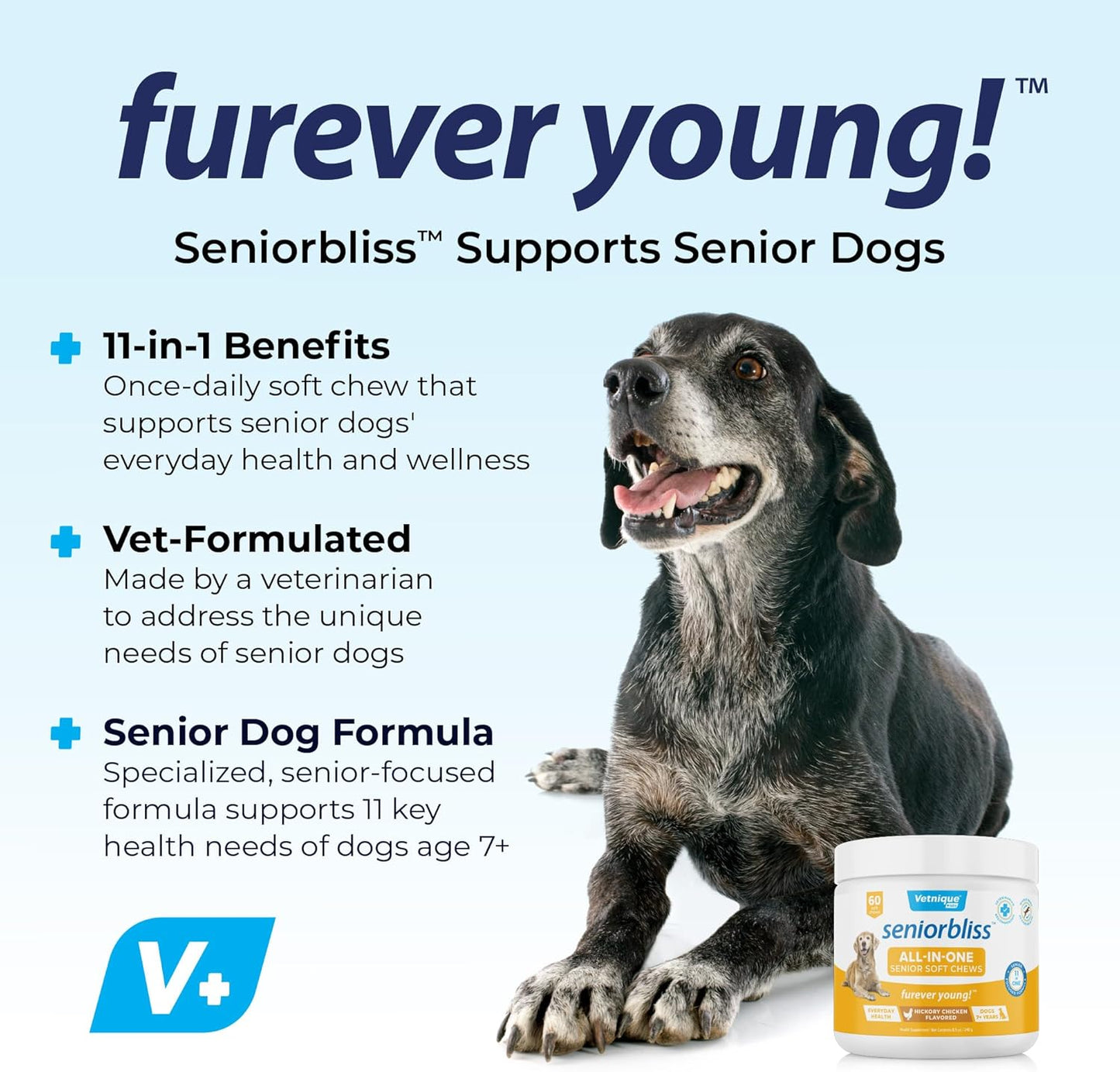Vetnique Labs Senior Dog Multivitamin with Glucosamine, Omega 3 Fish Oil, and Probiotics for Joint, Digestive, and Immune Support - All-in-One Daily Vitamin (60 Ct)
