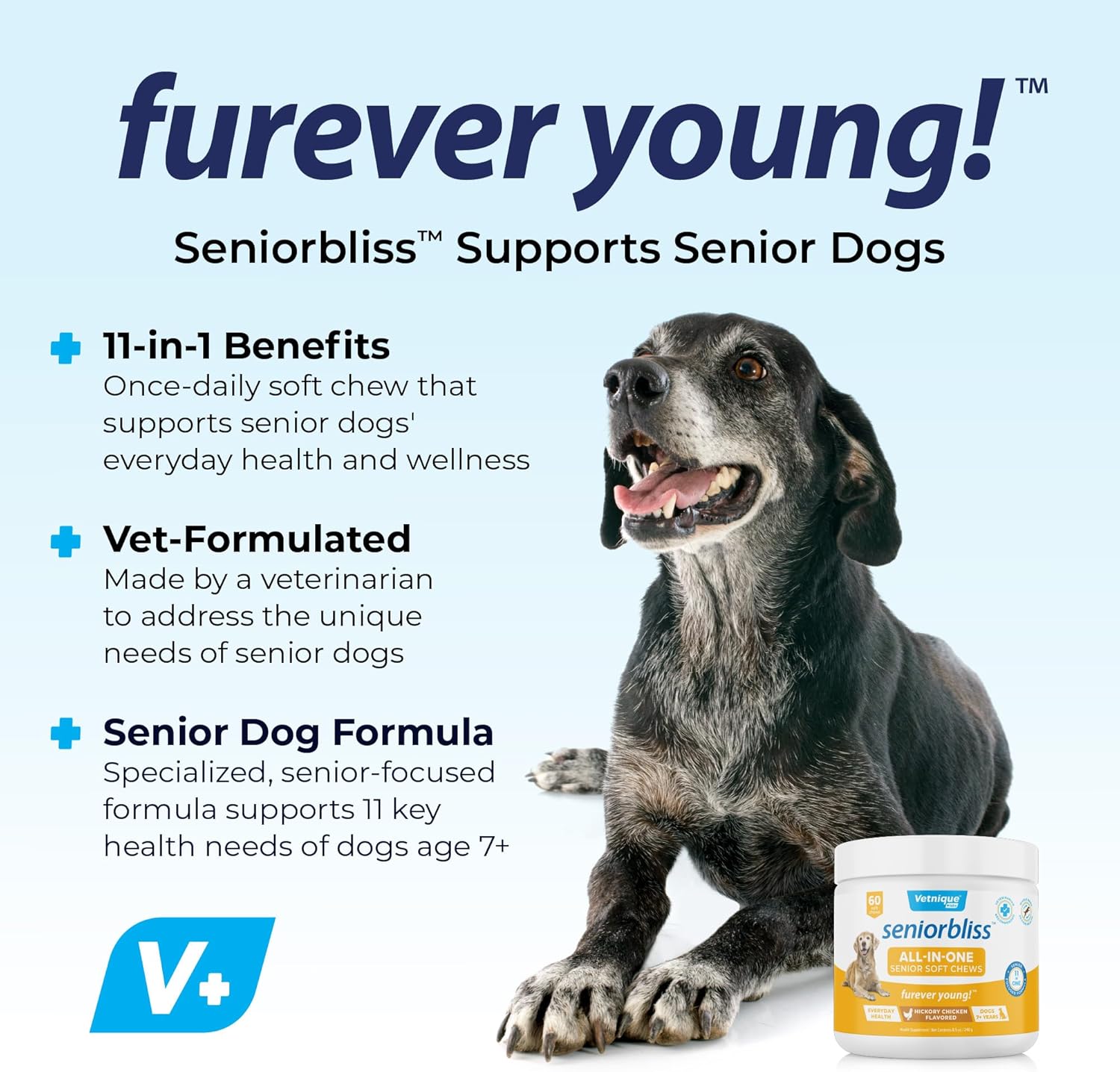 Vetnique Labs Senior Dog Multivitamin with Glucosamine, Omega 3 Fish Oil, and Probiotics for Joint, Digestive, and Immune Support - All-in-One Daily Vitamin (60 Ct)