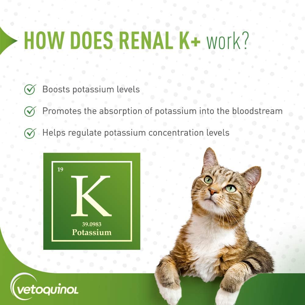 Vetoquinol Renal K+ Potassium Gel Supplement for Dogs and Cats, 5oz - Potassium Gluconate Formula
