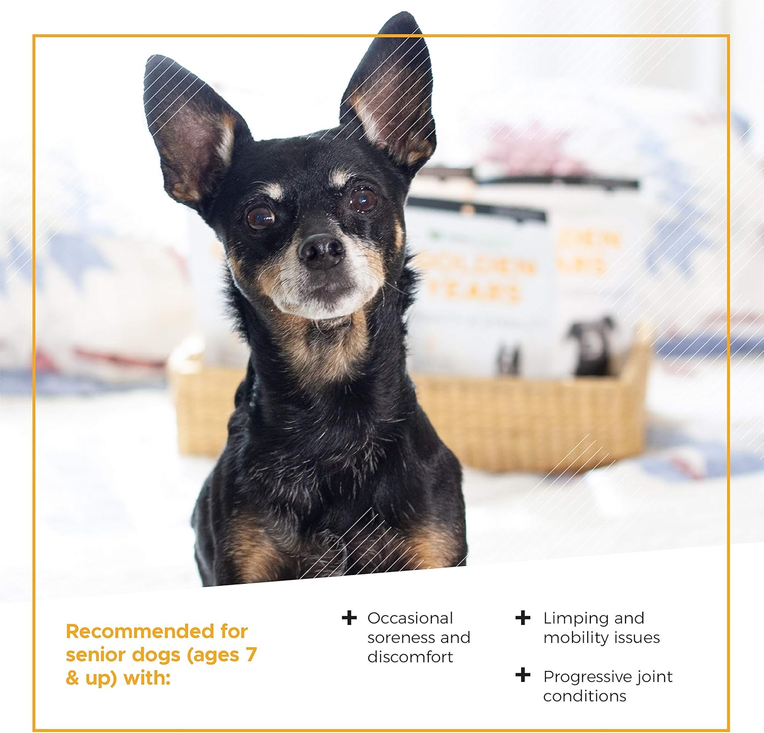 VetriScience Golden Years Hip and Joint Chews for Senior Dogs - Chicken Flavored Mobility Support, 60 Chews