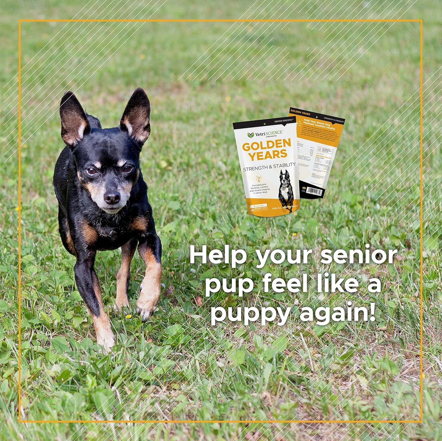 VetriScience Golden Years Hip and Joint Chews for Senior Dogs - Chicken Flavored Mobility Support, 60 Chews