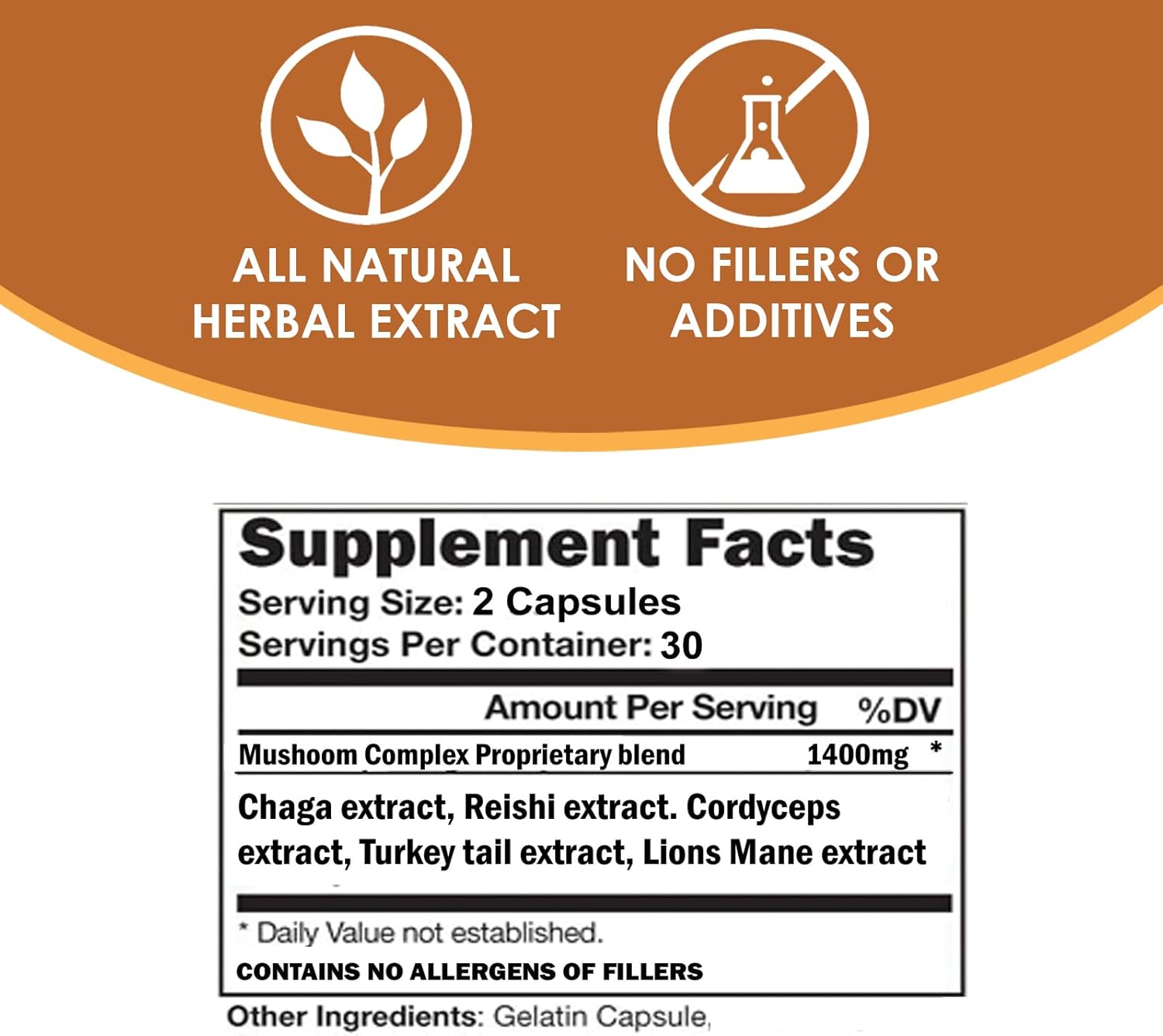 VH Nutrition Mushroom Complex Supplement 1400mg | Vitality Support with Lions Mane, Chaga, Reishi Extracts | Adaptogen Formula | 60 Capsules
