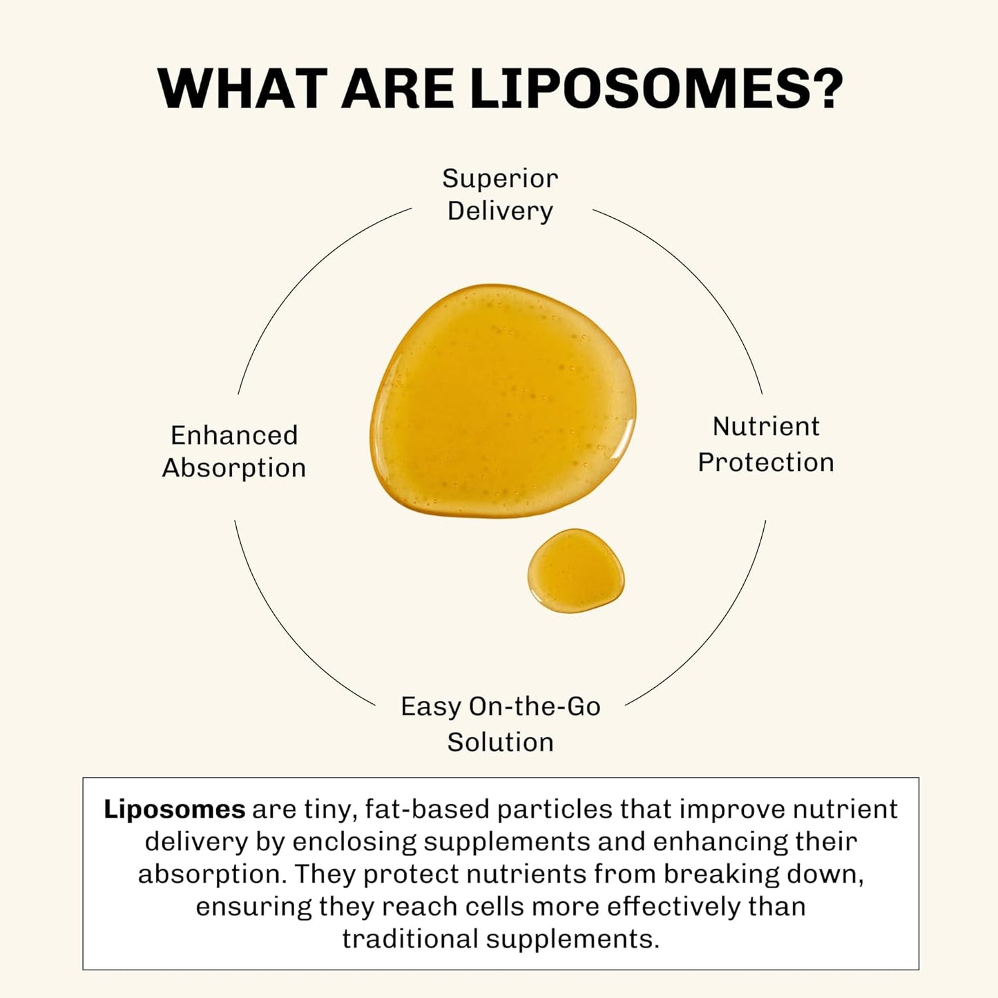 Vida Lifescience Aurora Nutrascience Liposomal Vitamin C Micro-Pack, 1,000mg per Serving, Immune Support, Gluten Free, Non-GMO, 10 Single Serve Packets