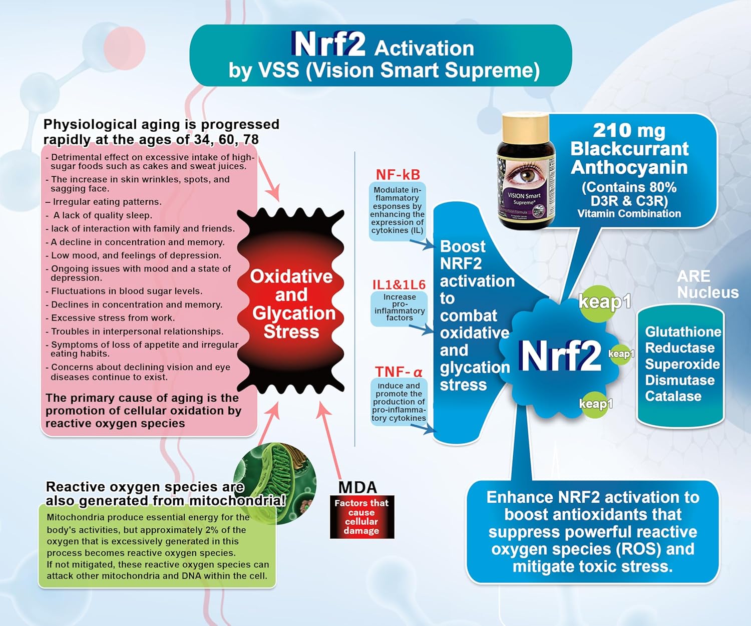 Vision Smart Supreme: Premium Eye Supplement with 210mg Pure Anthocyanins of D3R and C3R - 3 Bottles of Veggie Capsules from USA