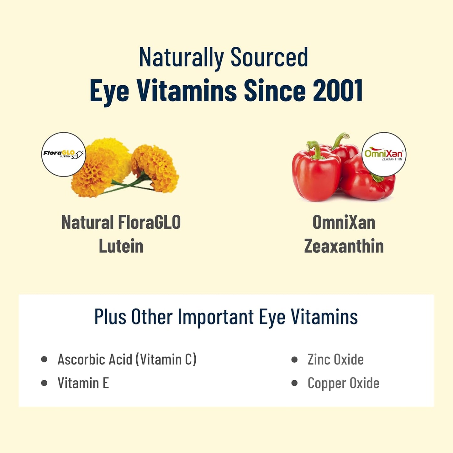 VisiVite AREDS 2 Select Eye Vitamins with Zeaxanthin and Lutein - Premium Macular Health Formula - Eye Supplements for Macular Support - 60 Capsules (Pack of 3)