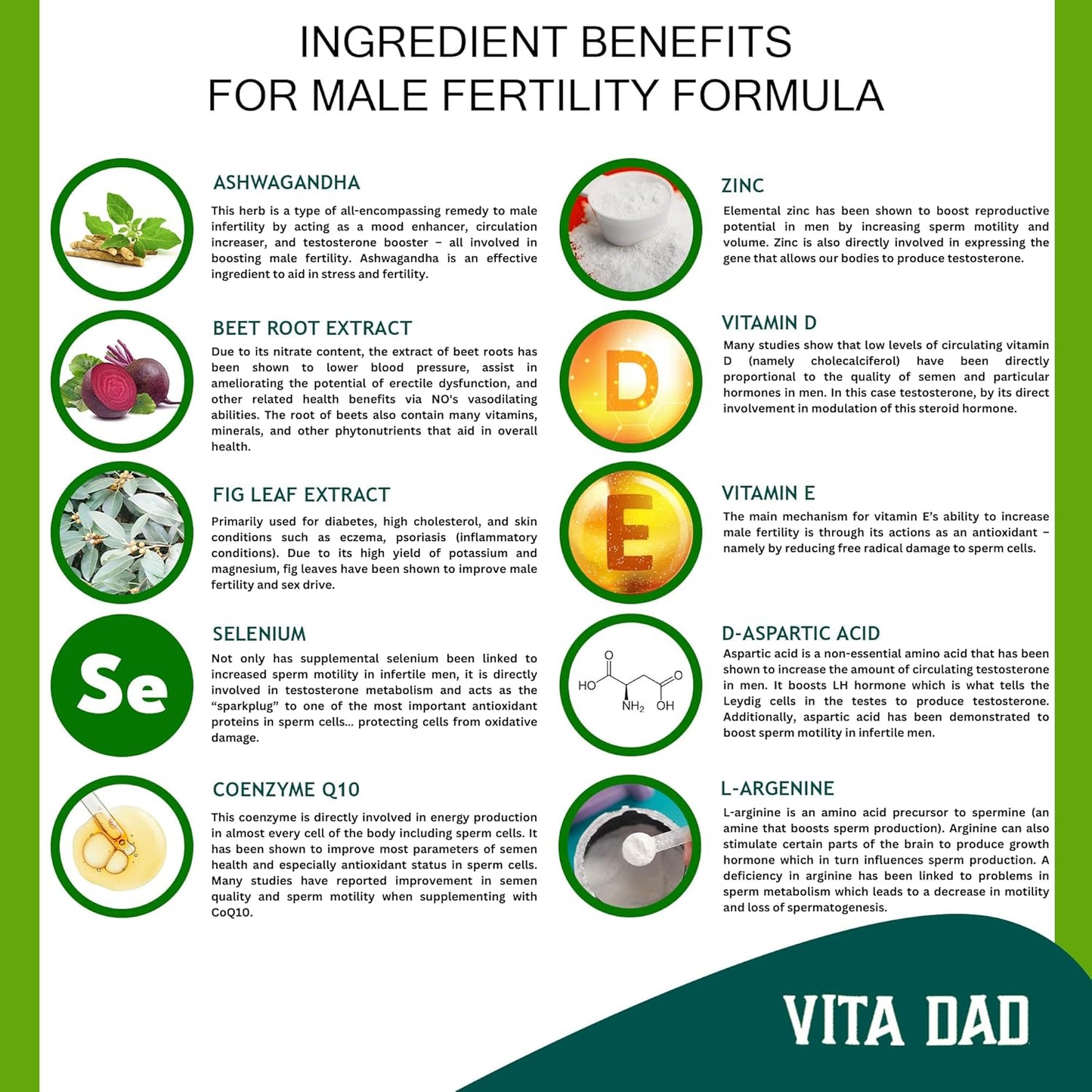 Vita Dad Male Fertility Supplement - Supports Fertility with Ashwagandha, L-Arginine, Coenzyme Q10, Beet Root, Fig Leaf Extract, Vitamins, Minerals - 60 Vegetarian Capsules