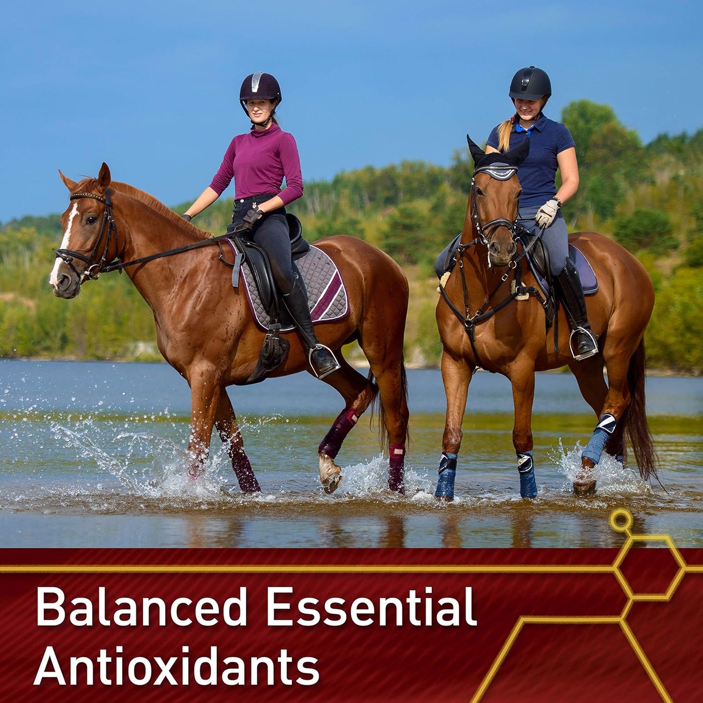 Vita Flex Pro E and Selenium Supplement for Horses, 4lb - Antioxidant-Rich Formula, 64-Day Supply