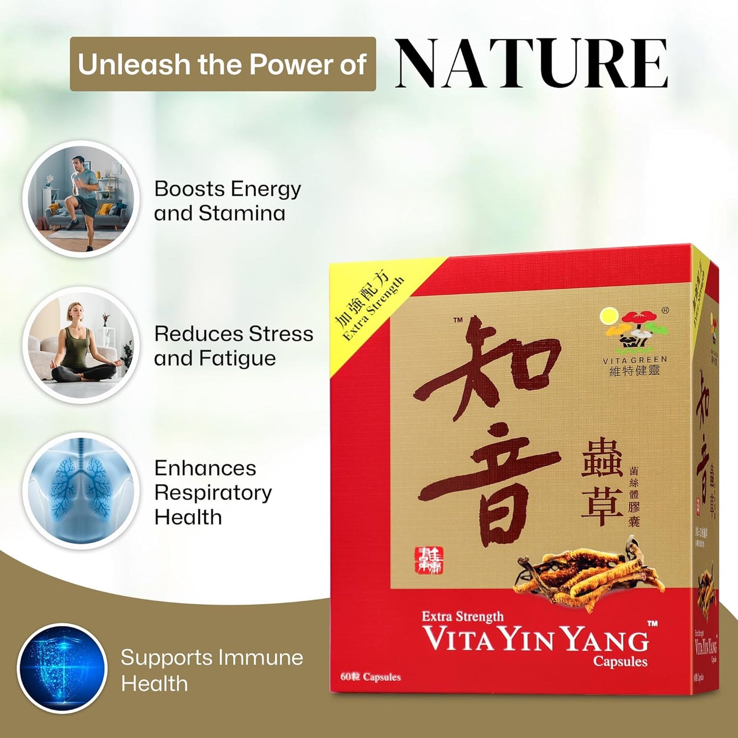 Vita Green Yin Yang Cordyceps Mycelium Capsules - Promotes Respiratory, Energy, Liver & Kidney Health - 60ct