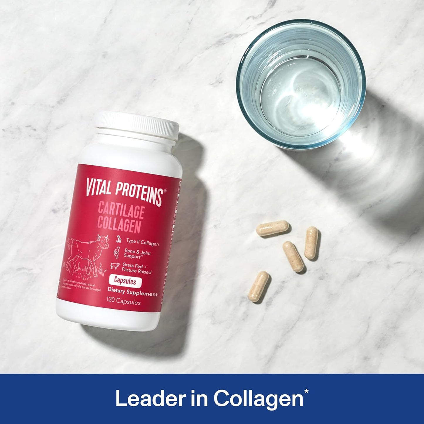 Vital Proteins Cartilage Collagen Pills - Type II Collagen & Chondroitin Sulfate Supplement for Recovery & Wellness - 750mg, 120 Capsules