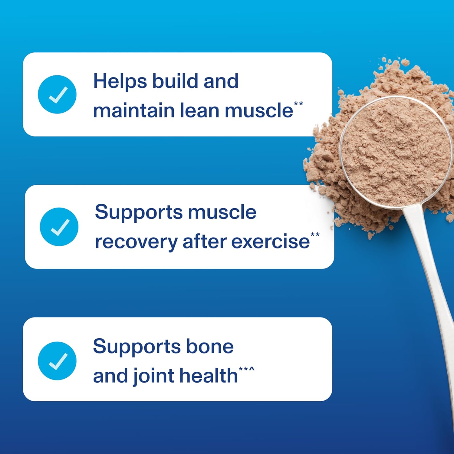 Vital Proteins Chocolate Whey Protein Powder with Collagen Peptides, 24g Protein for Recovery & Joint Health, Vitamin C, 16 Servings