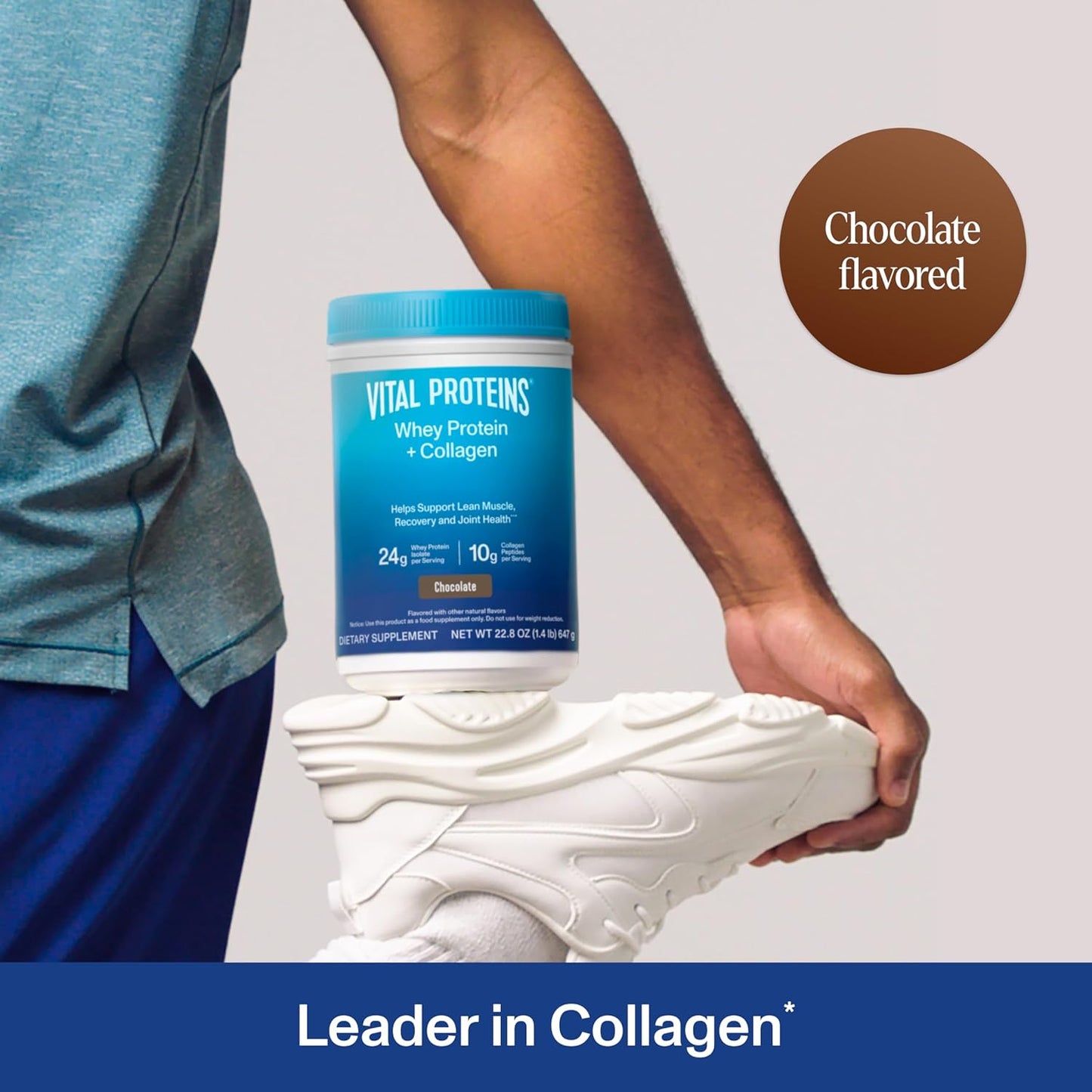 Vital Proteins Chocolate Whey Protein Powder with Collagen Peptides, 24g Protein for Recovery & Joint Health, Vitamin C, 16 Servings