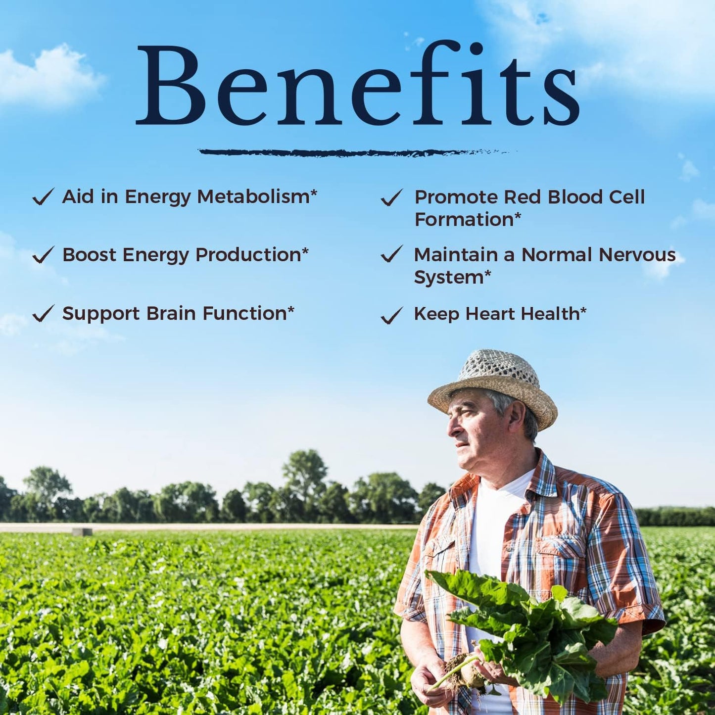 Vitalitown Methyl B12 5000 mcg Fast Dissolve Tablets, Natural Peach Flavor, Zero Sugar - Energy Production Support