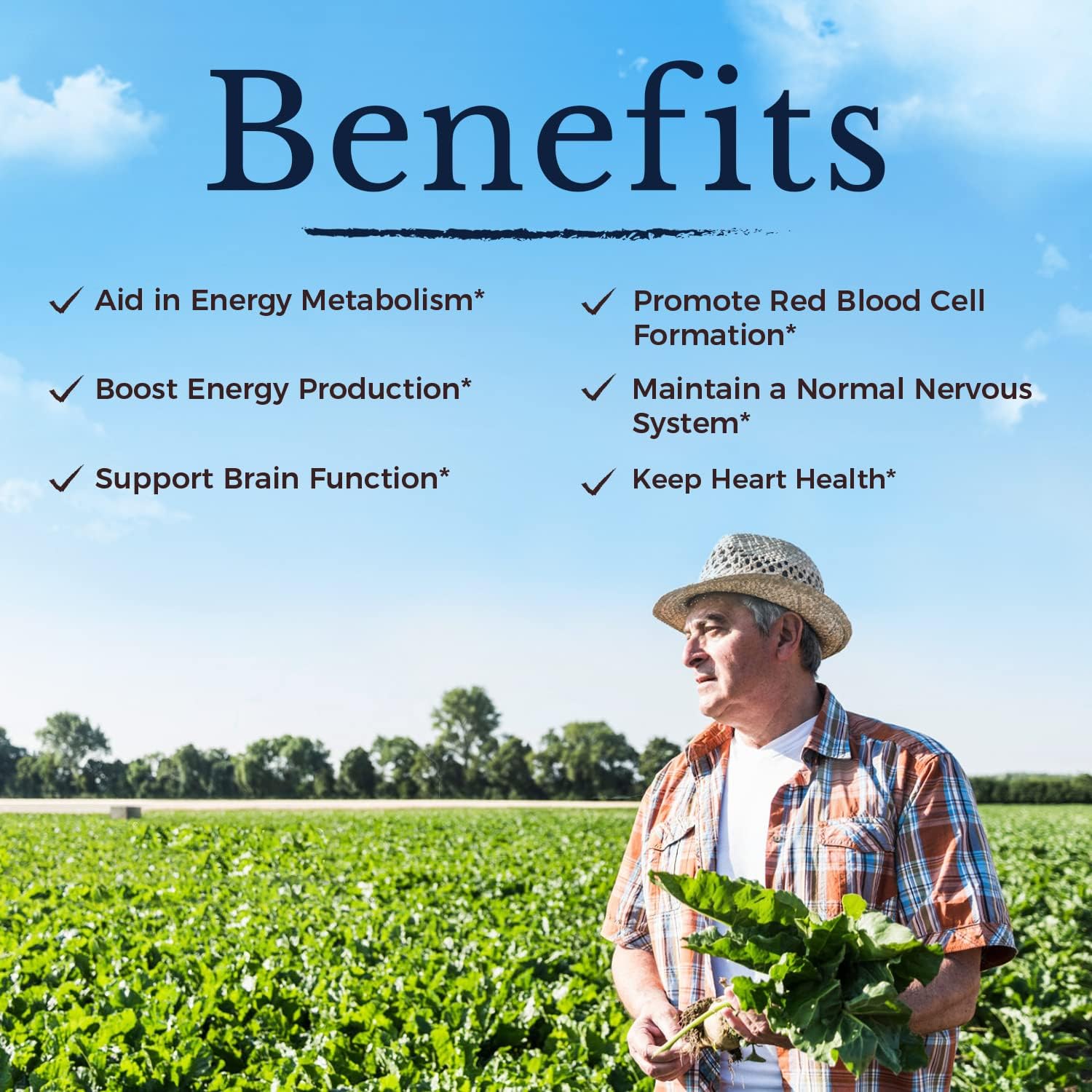 Vitalitown Methyl B12 5000 mcg Fast Dissolve Tablets, Natural Peach Flavor, Zero Sugar - Energy Production Support