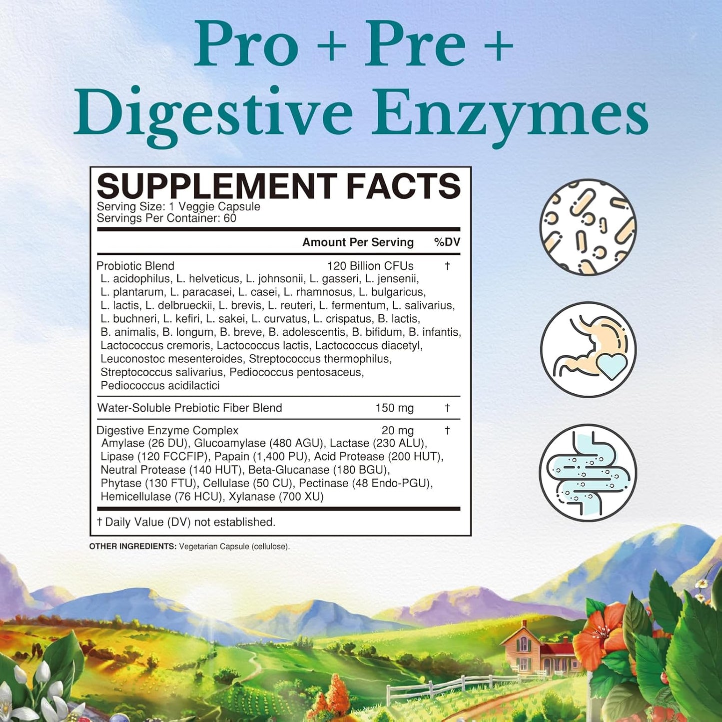Vitalitown Probiotics 120 Billion CFUs 36 Strains with Prebiotics & Enzymes Shelf Stable Vegan Non-GMO Immune Support 60 Veg Caps