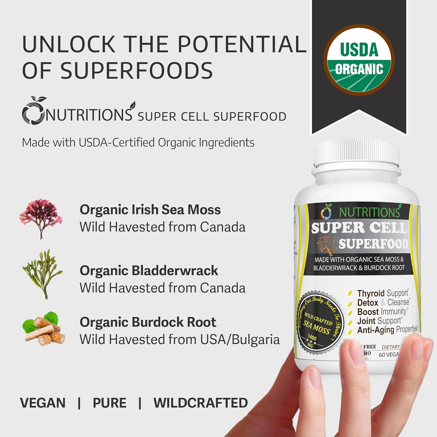 Vitamin B Complex Gummies & Sea Moss Capsules Essential Health Bundle by O NUTRITIONS