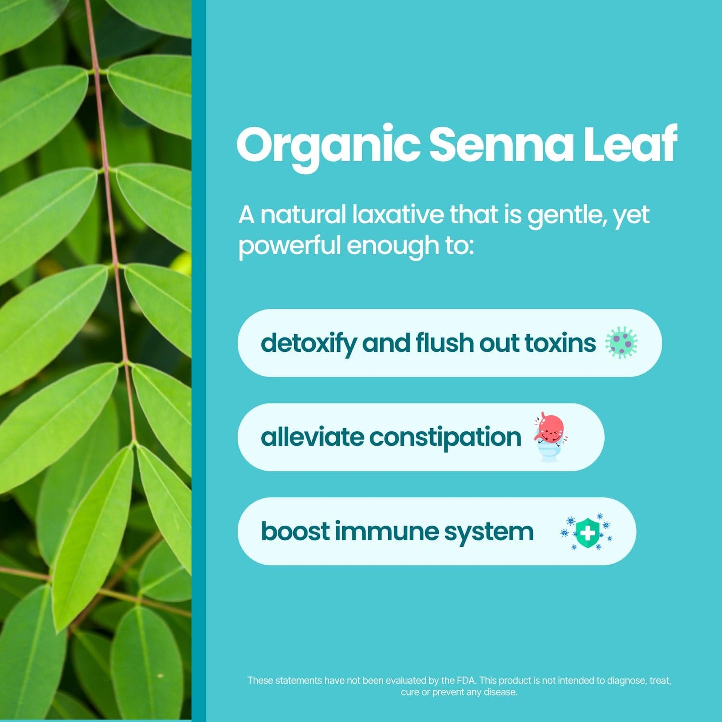 VoomVaya Senna TeaTox Booster - 14-Day Detox Tea for Bloating Relief, Cleanse, and Mood Boost - Hibiscus Flavor