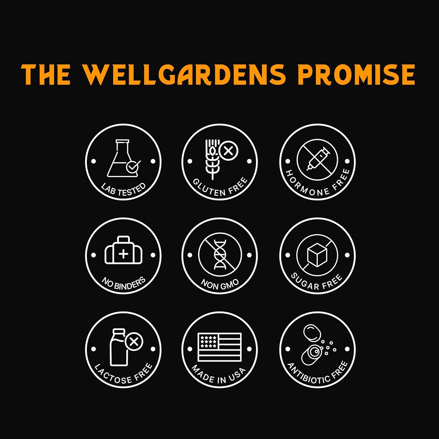 Wellgardens Brain Supplement for Memory, Focus, and Cognition - Daily Support for Mental Clarity with Bacopa, Magnesium, Vitamins B6 - Non-GMO, Gluten Free