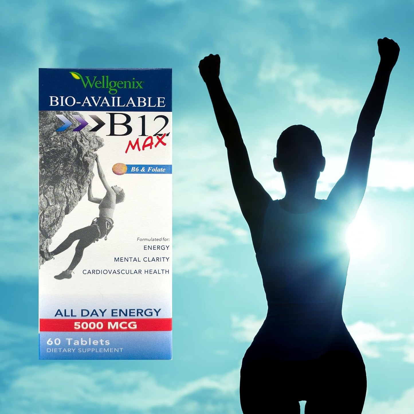 Wellgenix Bio-Available Sublingual B12 Max - High Absorption Nutritional Multivitamin - Fast Dissolve (60 Ct) - 2 Pack