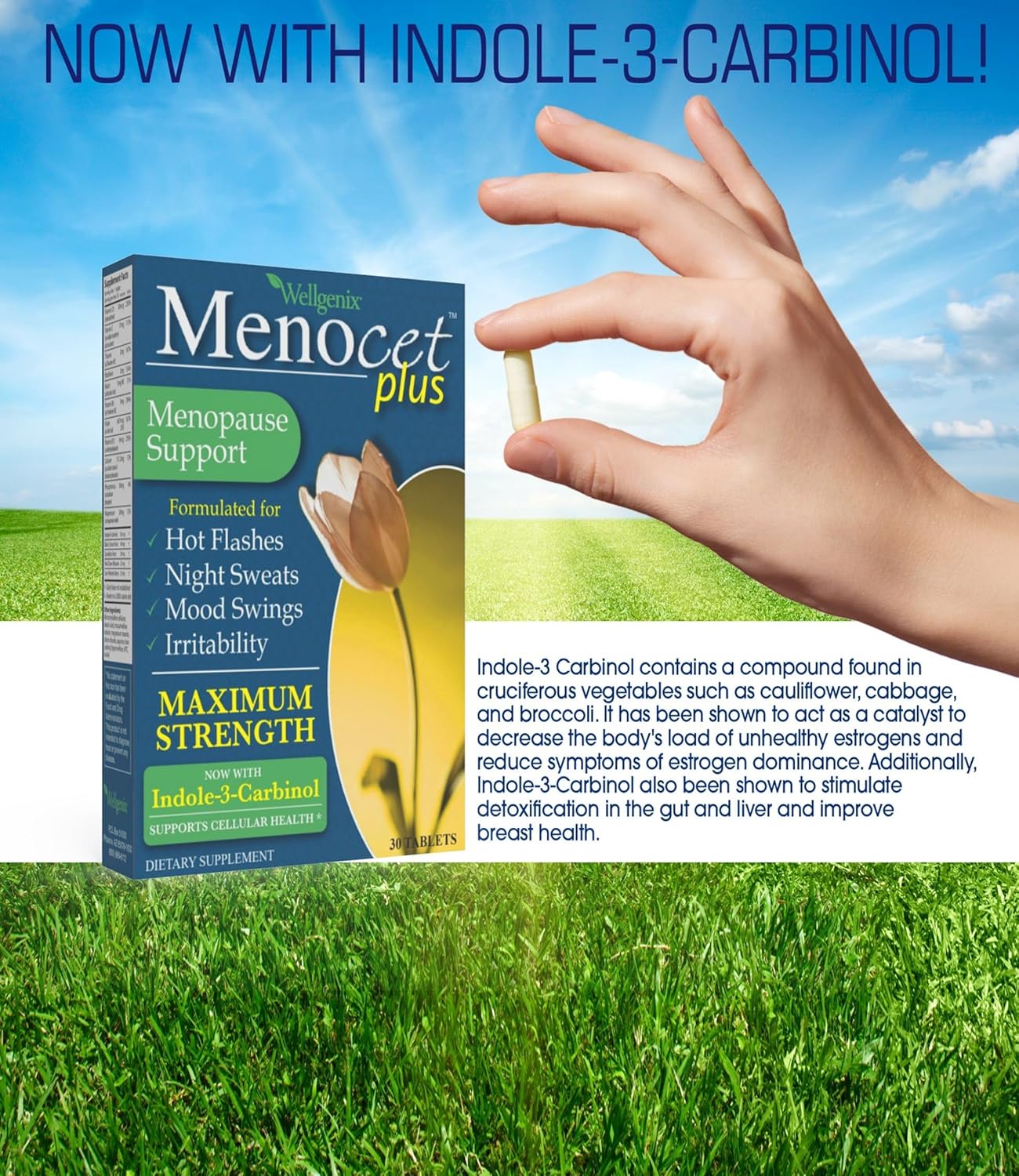 Wellgenix Menocet Plus Menopause Support - Complete Relief Supplement for Hot Flashes, Night Sweats, Mood Swings & Irritability - 60 Tablets